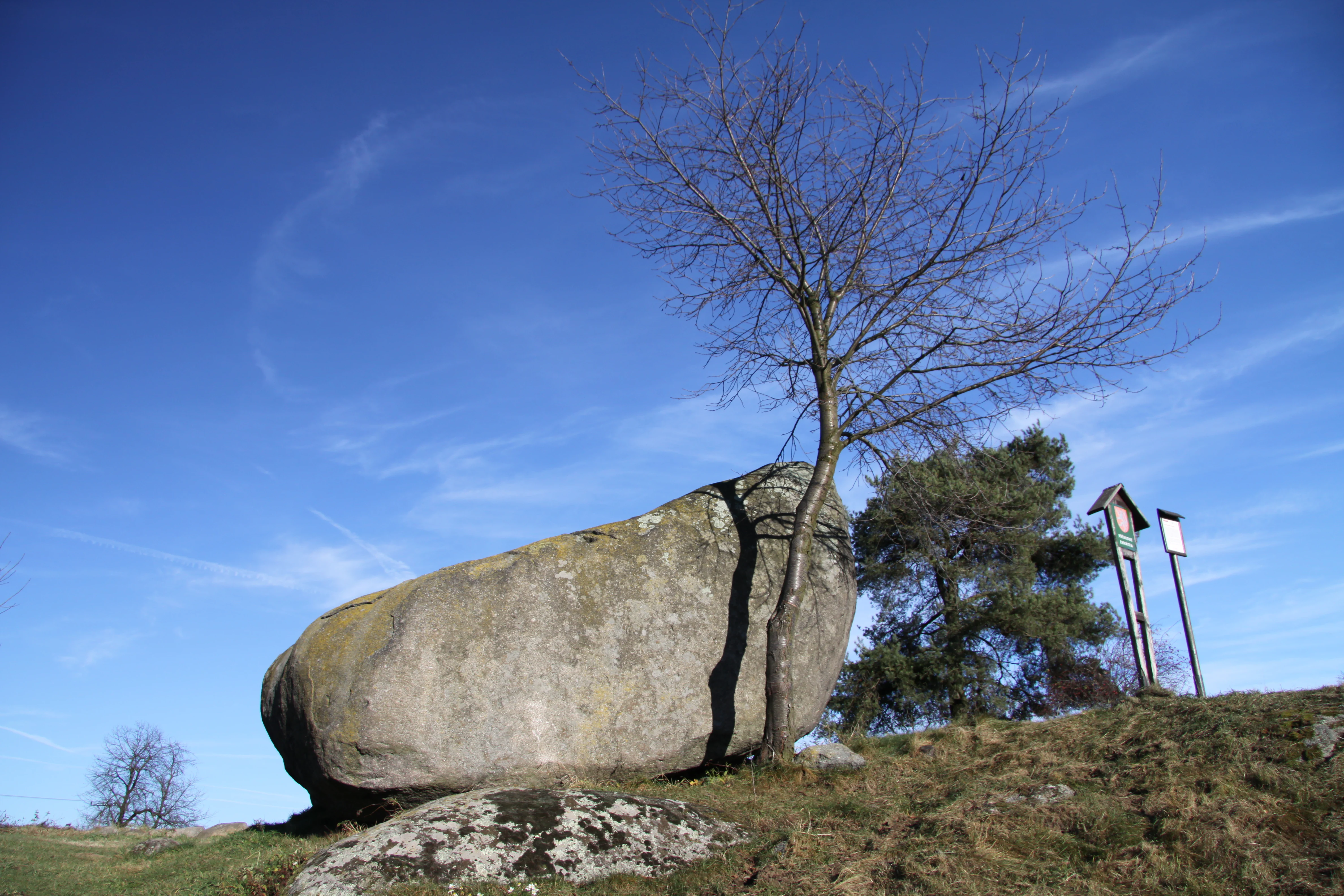 A large, weathered granite boulder sits on a grassy hill next to a small, leafless deciduous tree, with educational signage poles visible in the background against a clear blue sky.