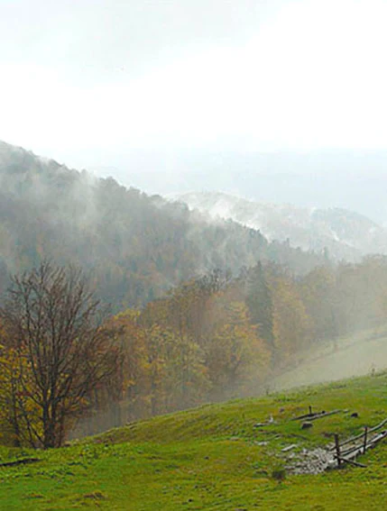 Grassy field with fallen logs and a fence, surrounded by autumn trees and misty mountains