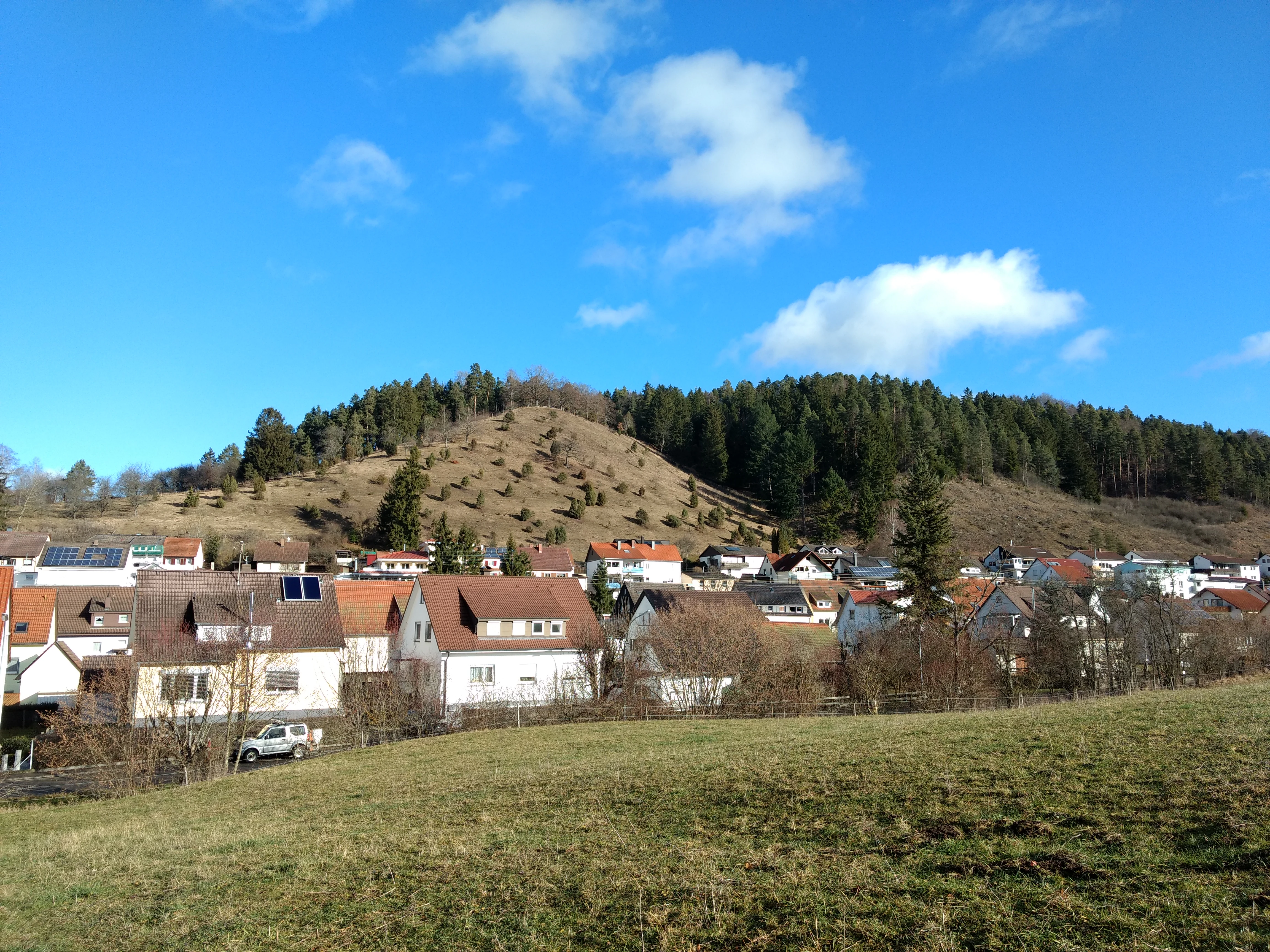 A green hillside slope dotted with small conifer trees, rising above a residential town under a bright blue sky with white clouds.