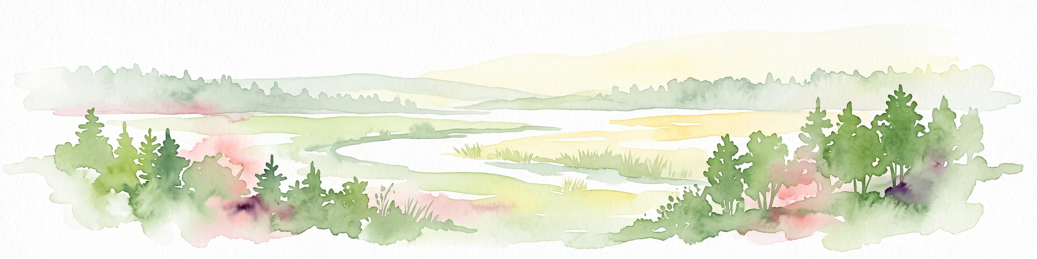 A wide panoramic watercolor illustration showing a winding river or stream flowing through a landscape of green pine trees and pink flowering bushes under a pale sky.