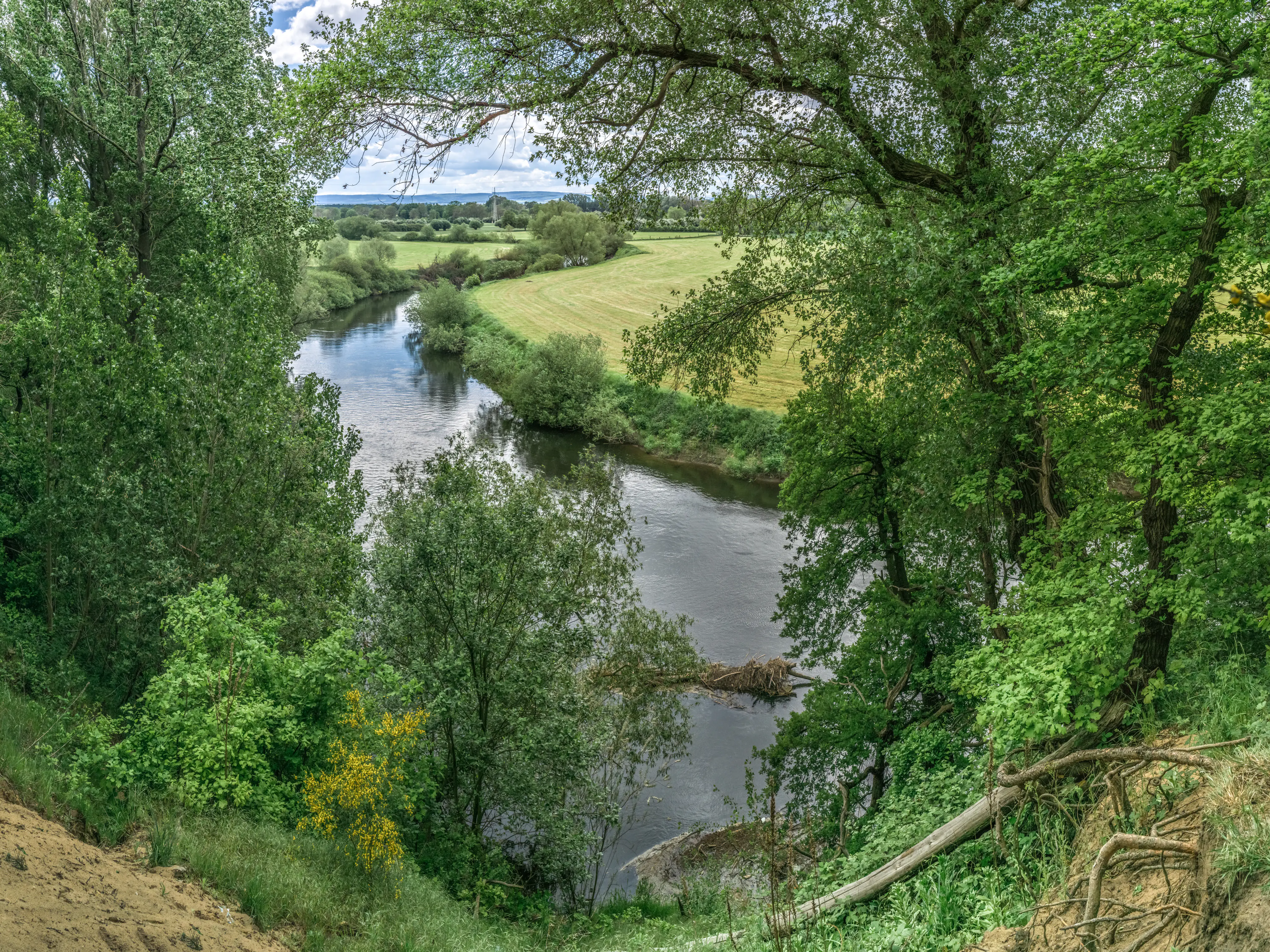 A winding river flows through a green landscape, framed by large trees on the banks and a grassy field in the background under a partly cloudy sky.