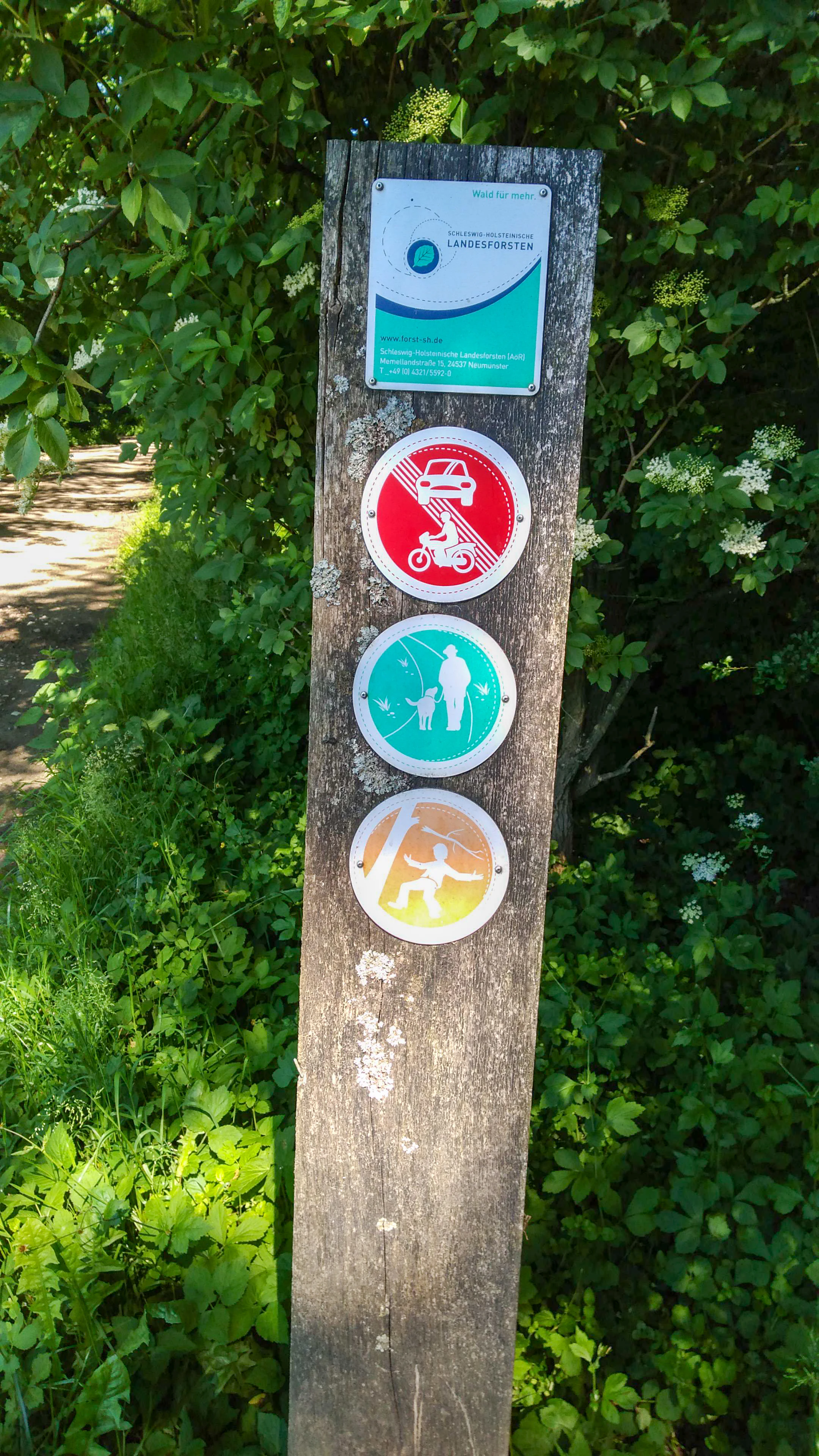 A wooden post with a rectangular sign for Schleswig-Holstein State Forests and three circular signs indicating no motor vehicles, allowed pedestrian and dog walking, and hiking.
