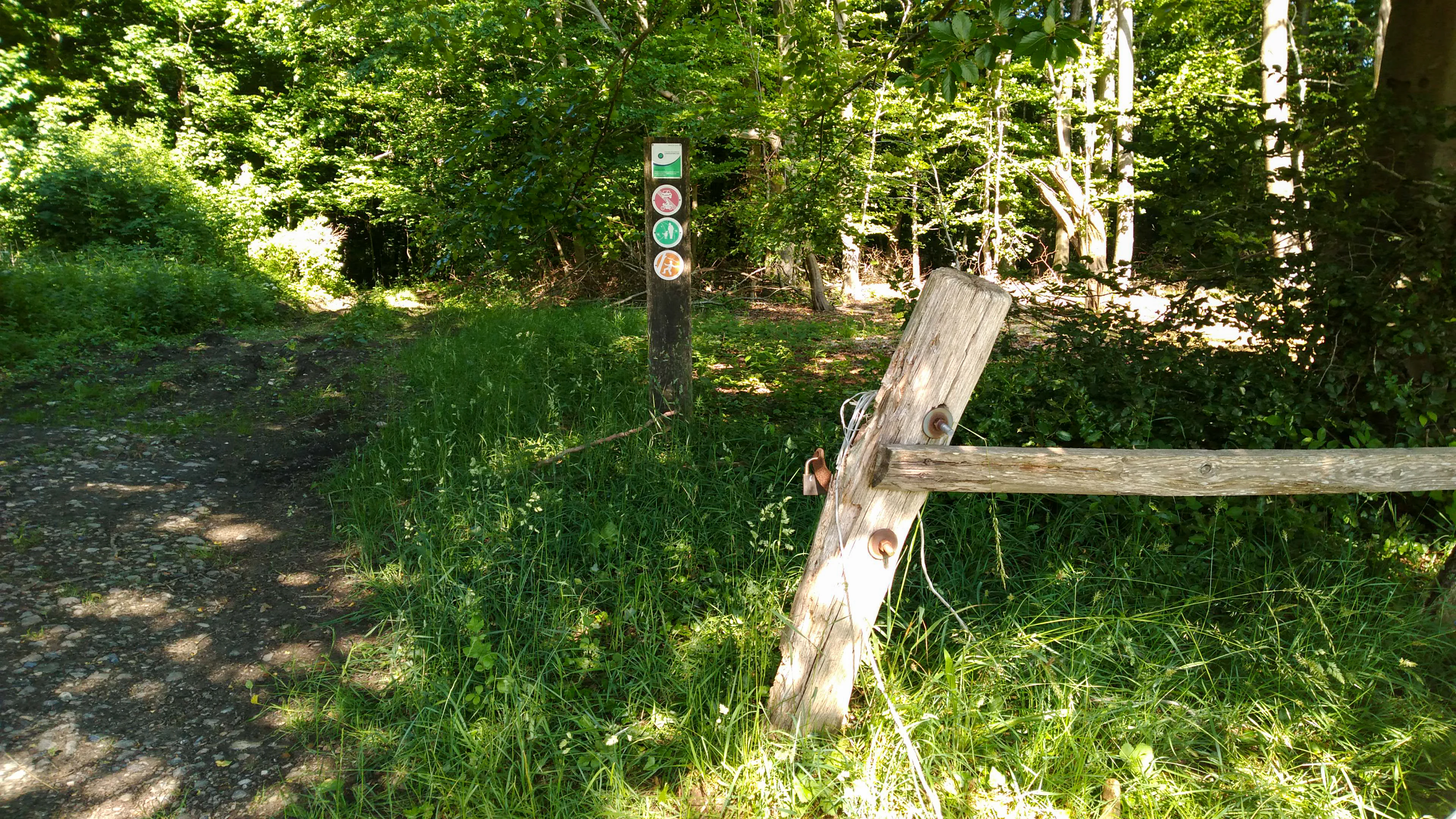 A dirt path enters a dense green forest, flanked by a wooden post with colorful circular trail markers and a rustic wooden barrier gate in the foreground.