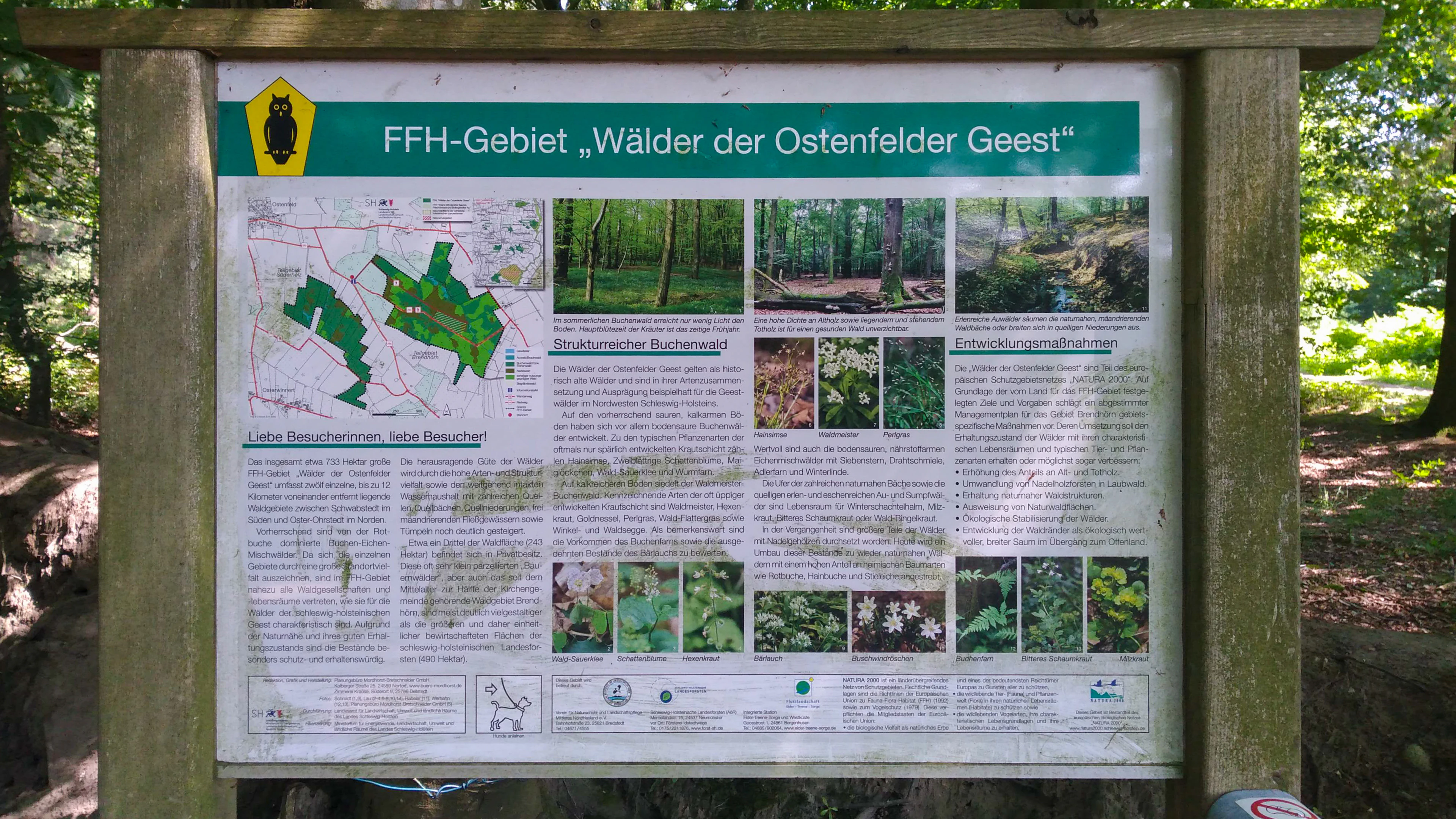 A rectangular outdoor information sign mounted on a wooden frame in a forest, displaying text, maps, and photographs about the protected area.
