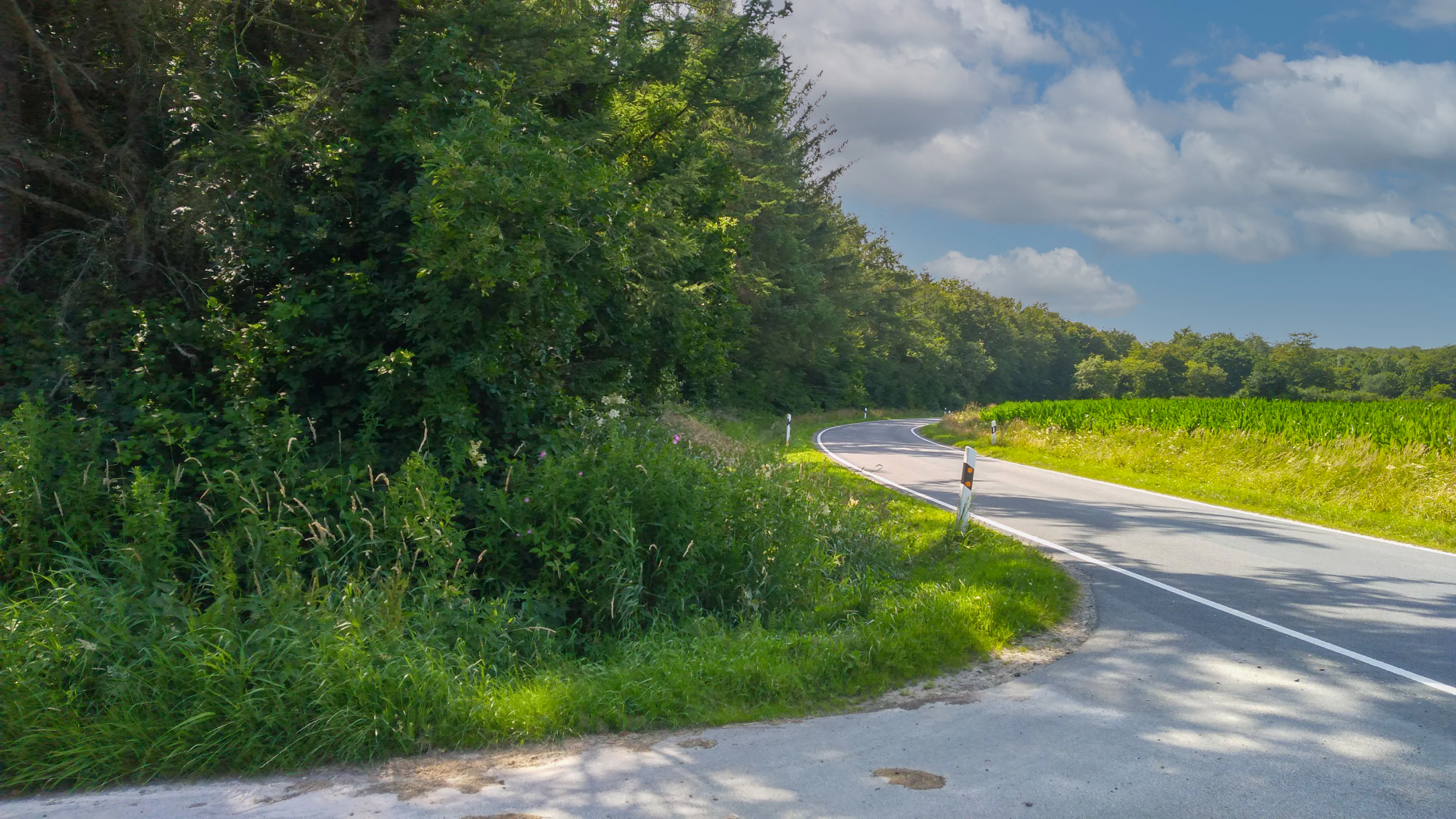 A winding asphalt road curves through a landscape featuring a dense forest edge on the left and a green agricultural field on the right under a partly cloudy sky.