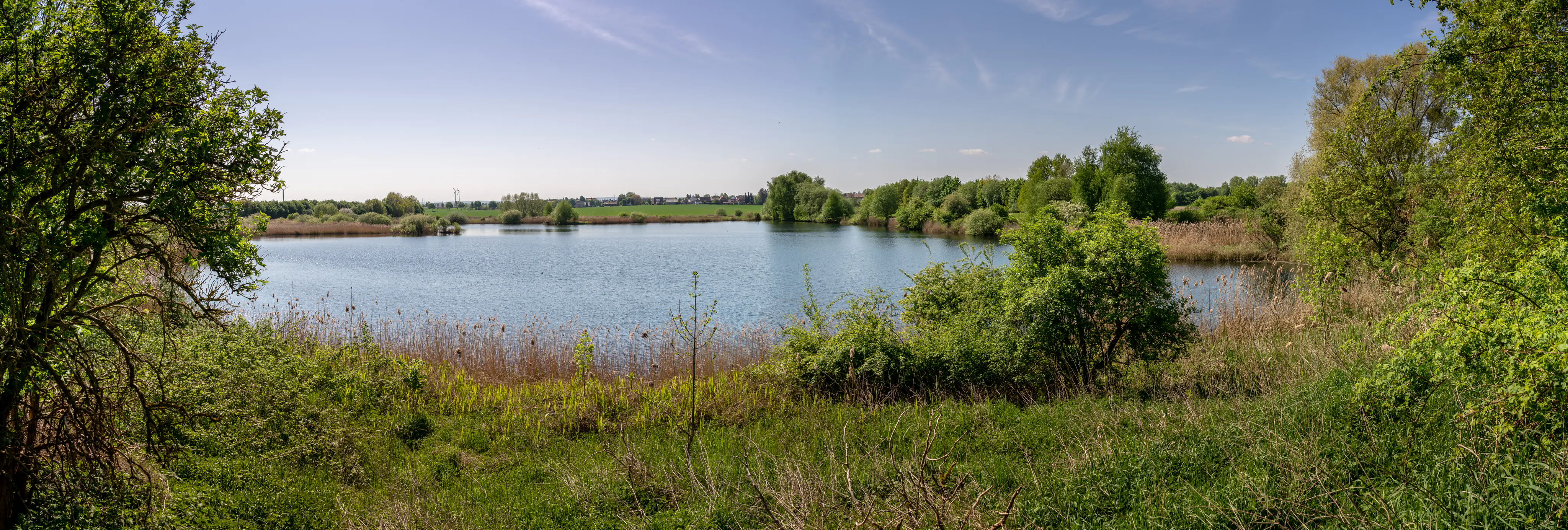 Vista panorámica de un lago tranquilo rodeado de frondosos árboles verdes, arbustos y juncos bajo un cielo azul despejado.
