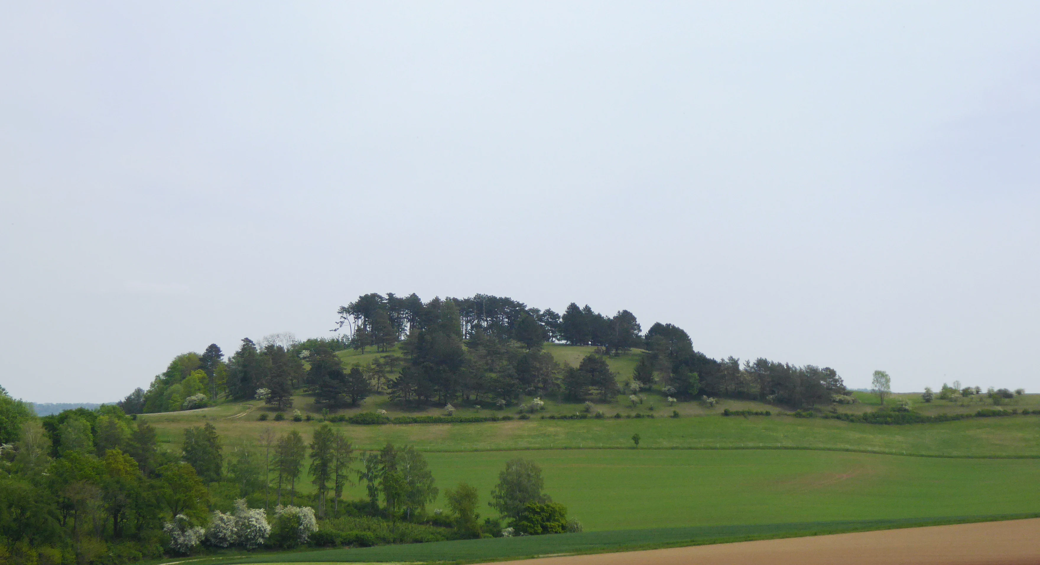 A gentle green hill covered with trees sits in the middle ground, surrounded by rolling agricultural fields and meadows under an overcast sky.