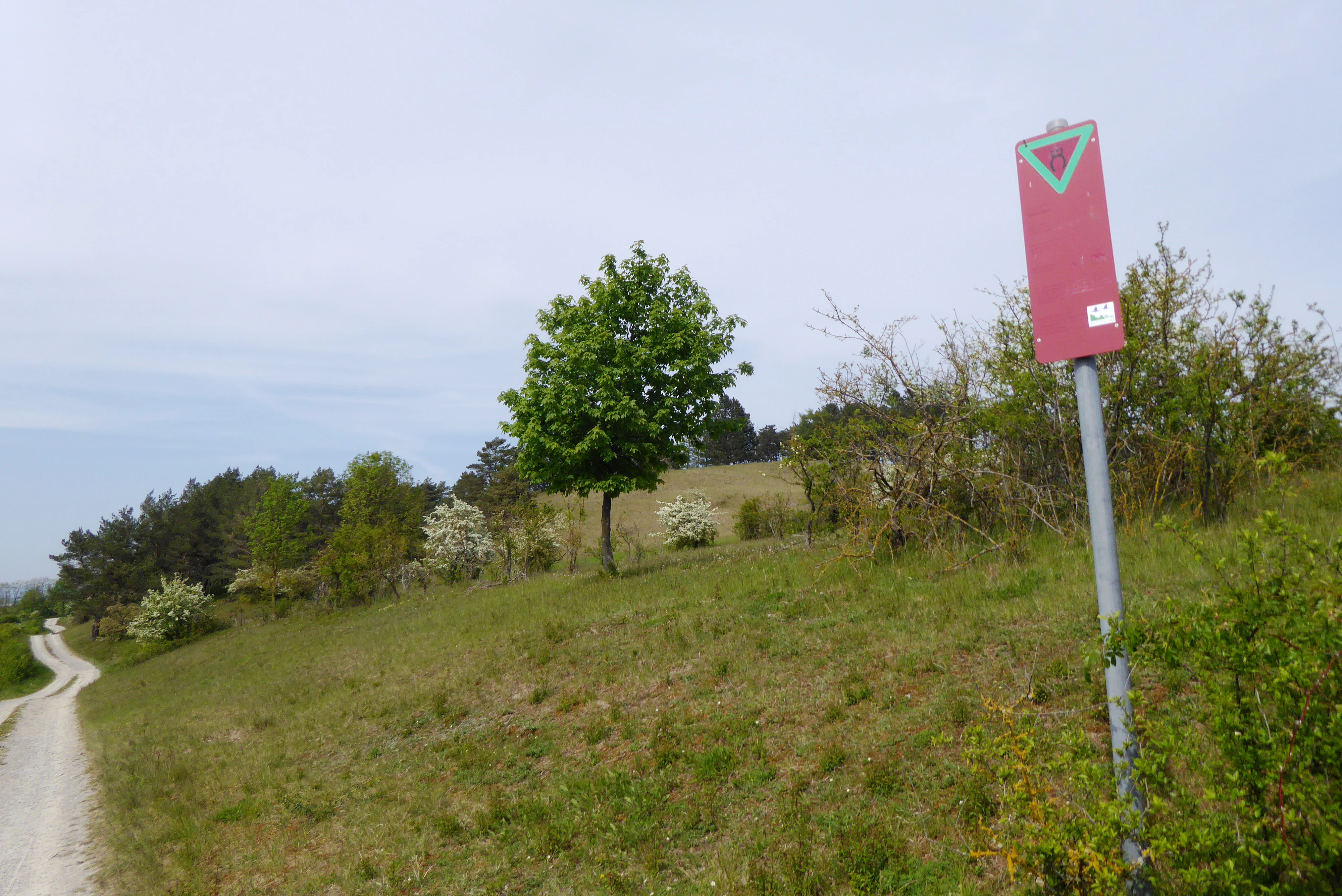 A red rectangular sign with a green inverted triangle at the top stands on a metal pole in a grassy hillside landscape next to a gravel path.