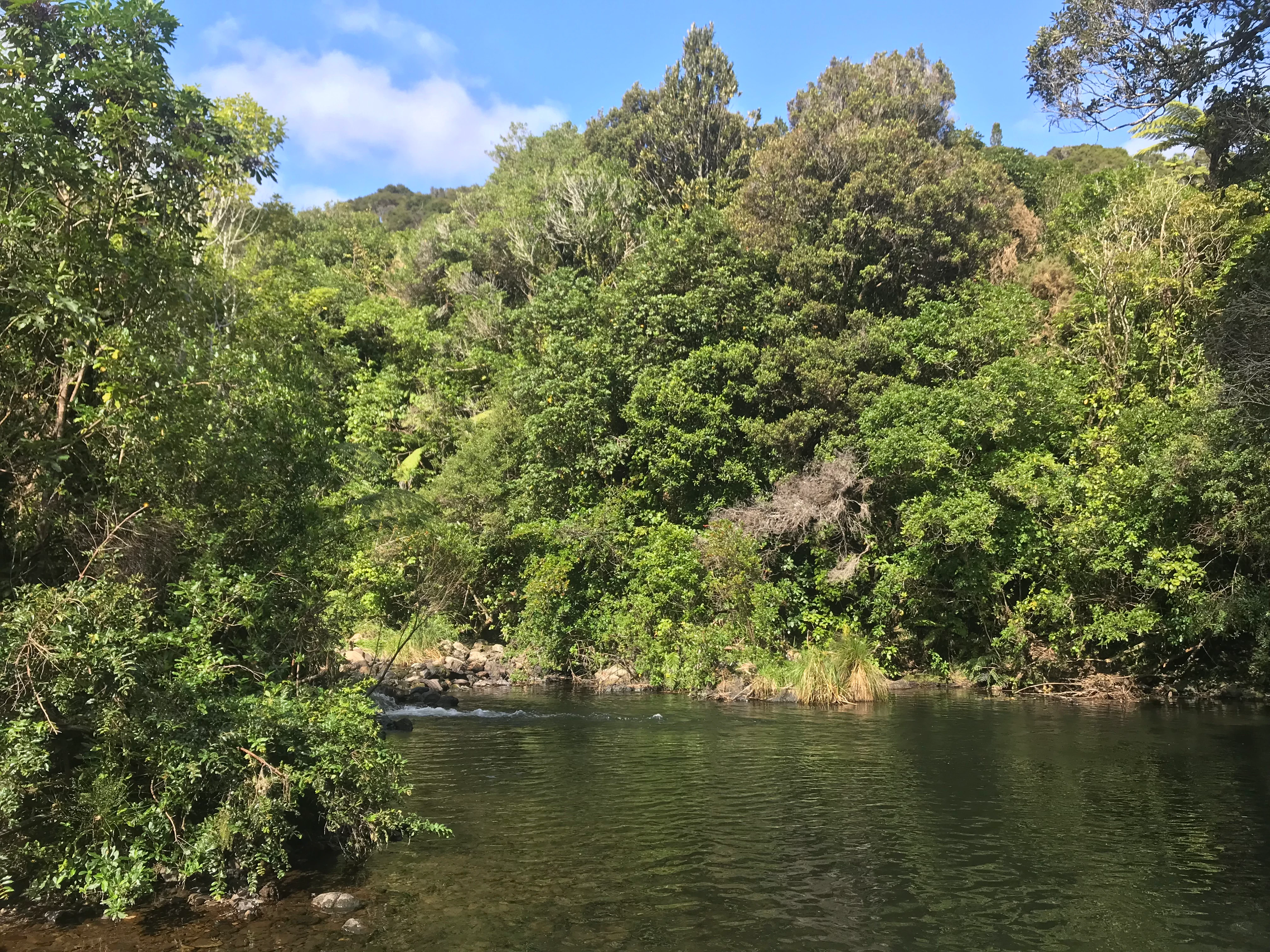 A view of a clear river flowing past a lush, tree covered hillside under a blue sky.