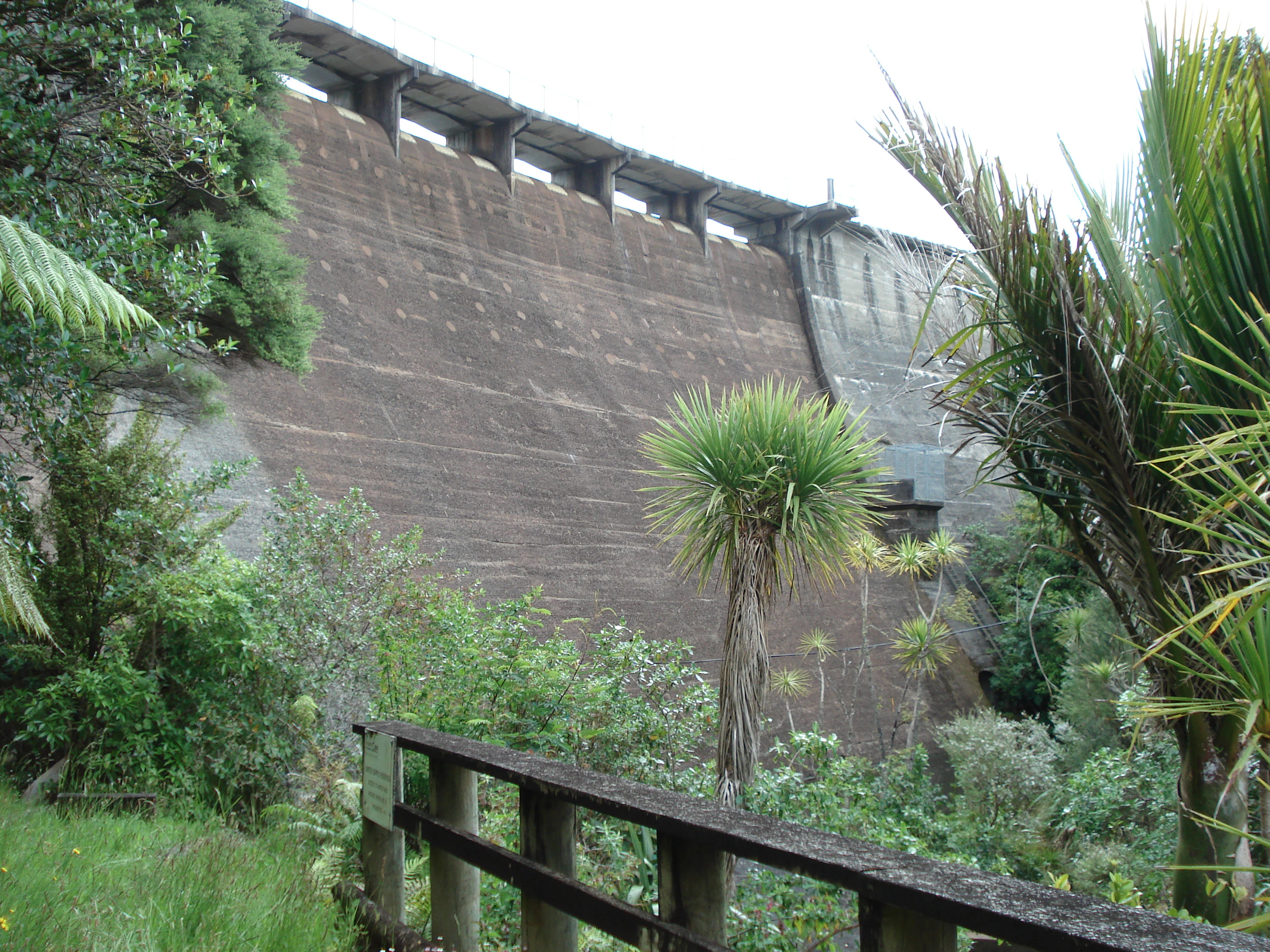 A low-angle view of a large concrete dam wall set into a lush, green forest environment with a wooden railing in the foreground.