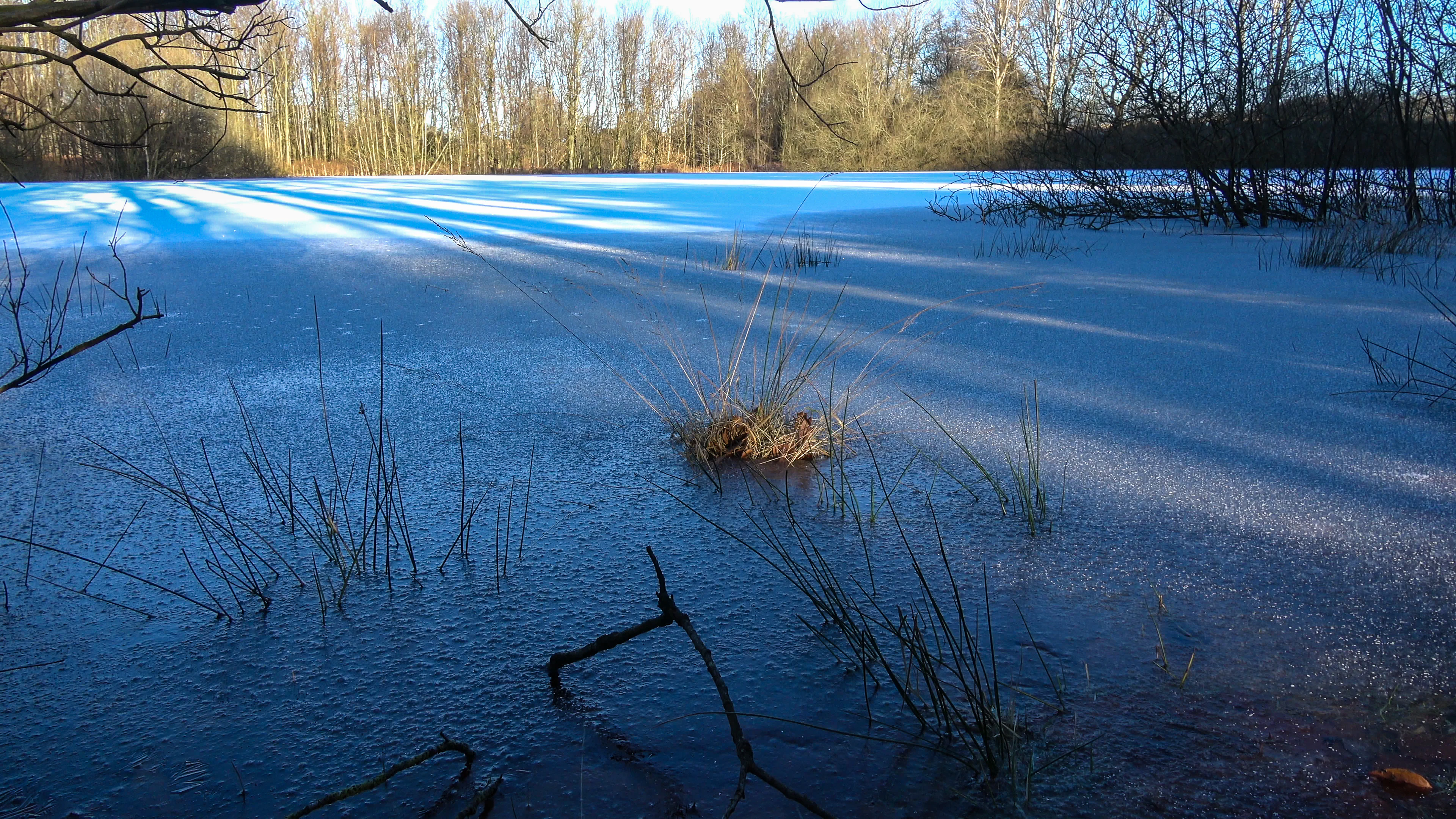 A frozen, snow-covered moorland landscape with a forest border in the background under low winter sunlight.