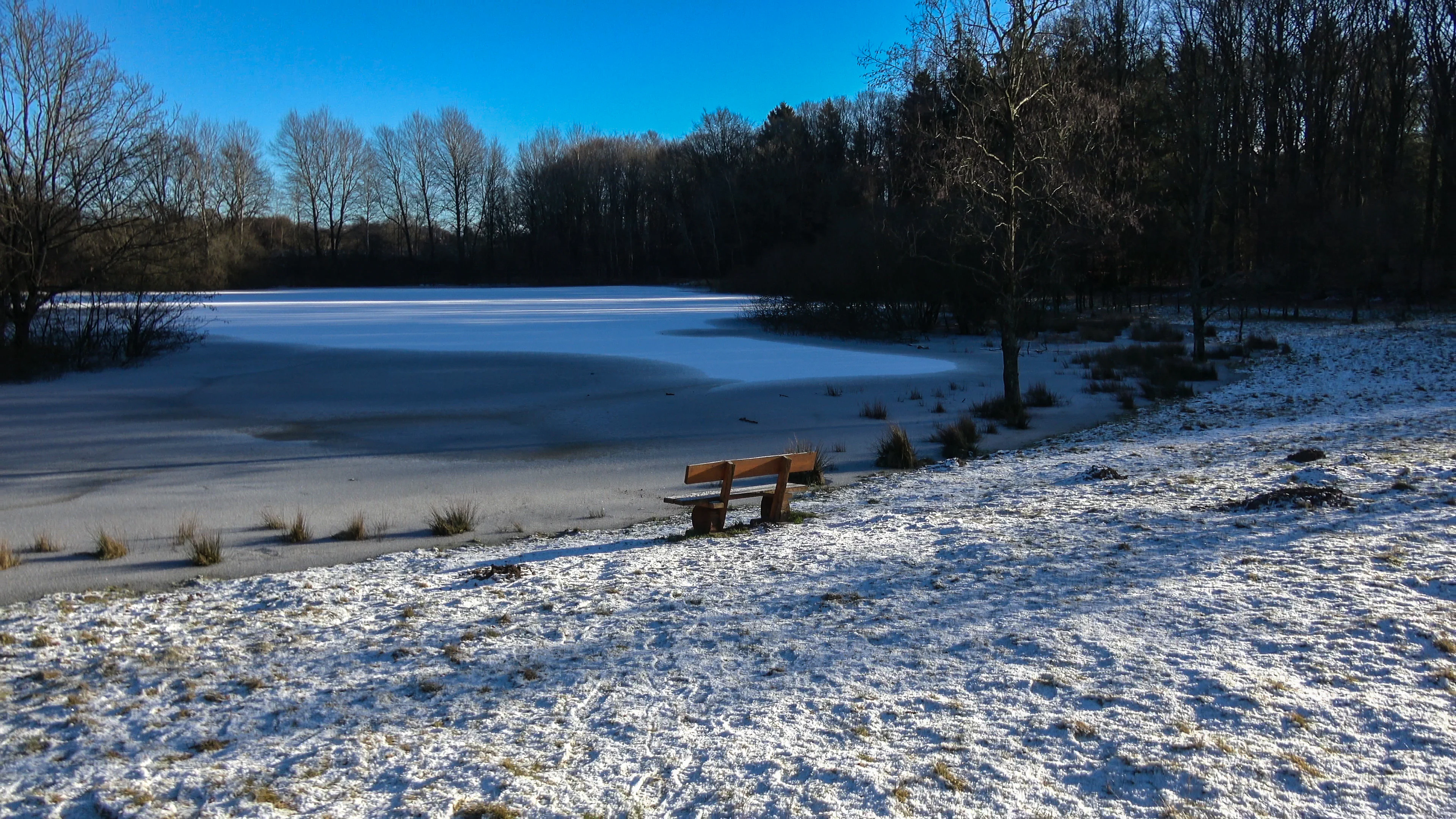 A frozen lake sits in a snow-covered clearing, bordered by a dark forest of bare trees. A wooden bench is situated on the bank facing the ice.