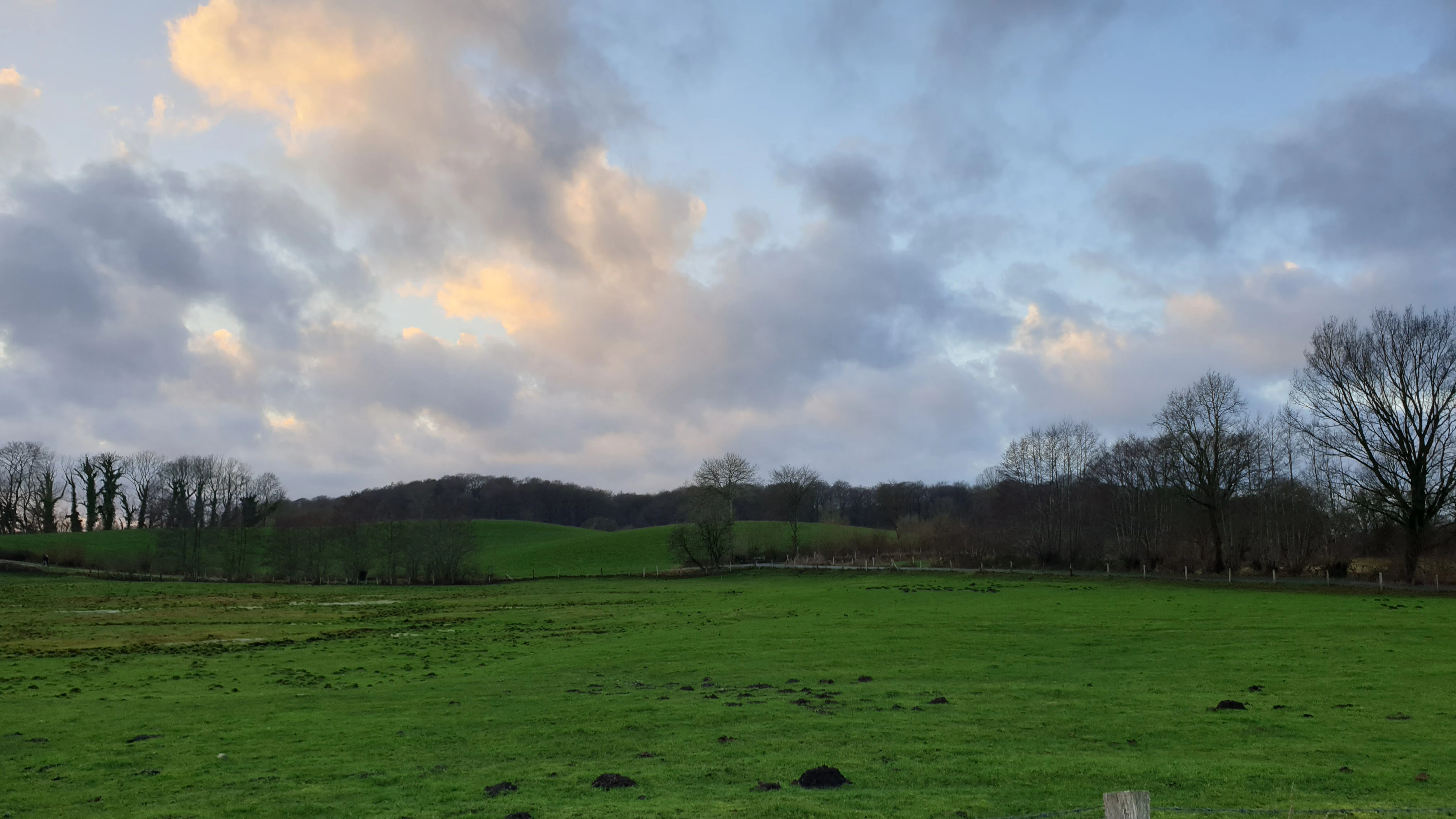A wide landscape view of green grassy fields in the foreground leading to a line of deciduous trees and a hilly horizon under a cloudy sky.