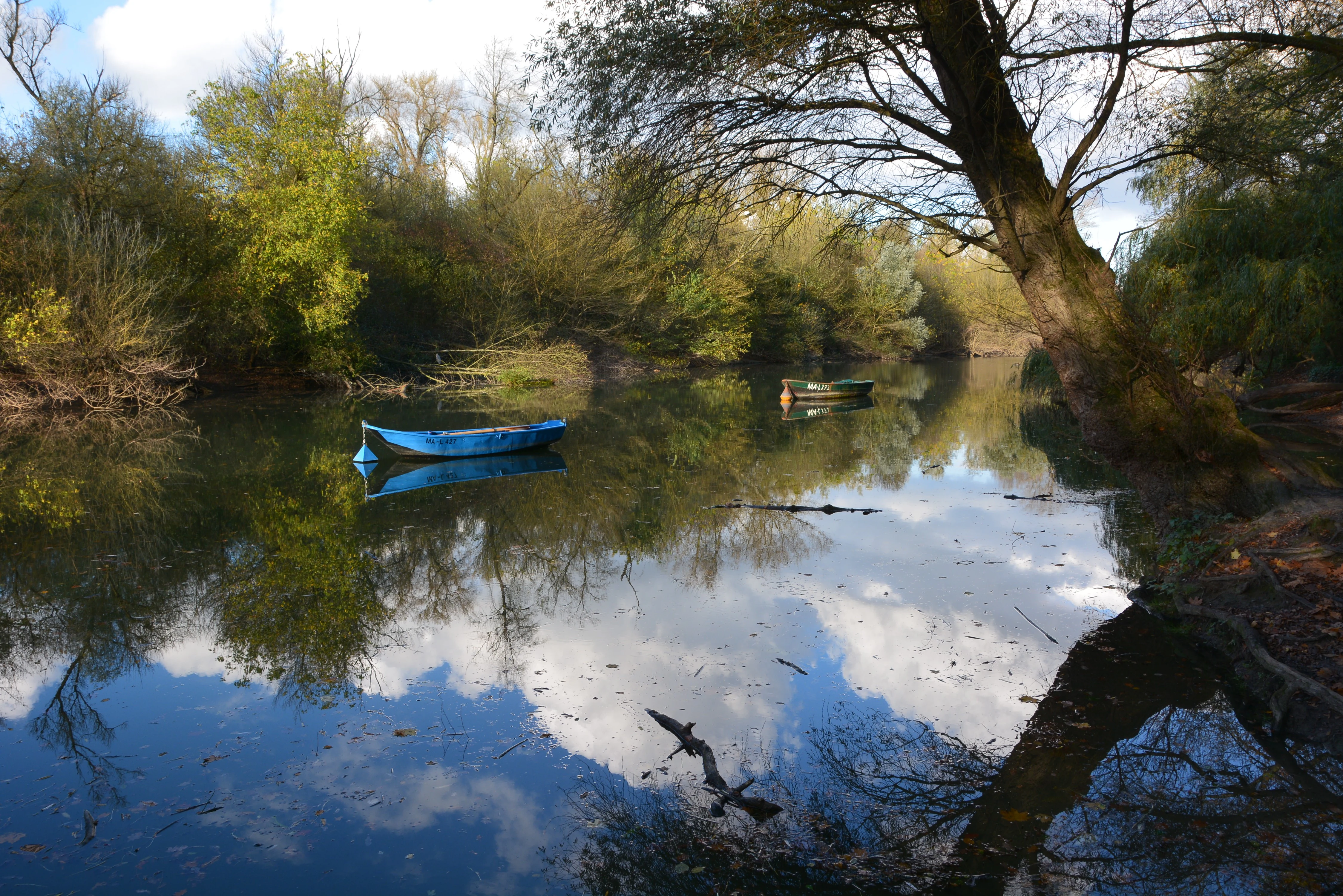 A peaceful, reflective body of water surrounded by dense trees, with two small rowing boats floating on the surface.