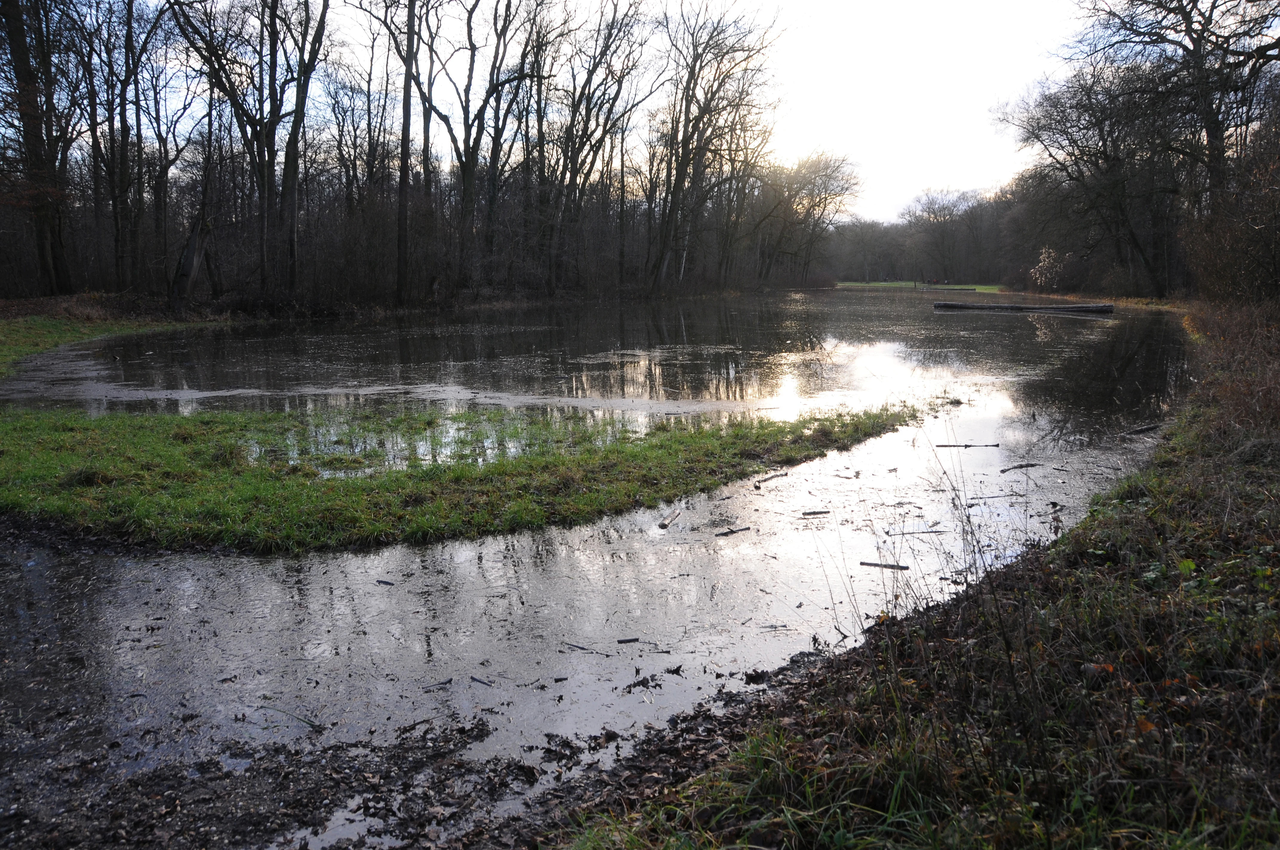 A low-lying meadow area in a forest is partially flooded with standing water reflecting the sky, surrounded by bare trees in late autumn or winter.