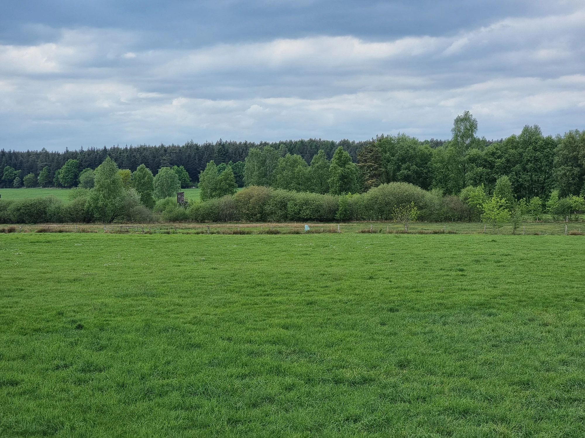 A wide shot of a green grassy meadow with a line of trees and bushes in the background under a cloudy sky.
