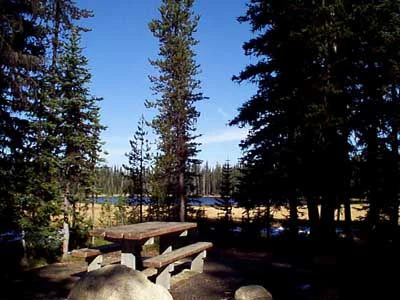 A rustic wooden picnic table situated in a forested clearing with a lake visible in the background under a clear sky.