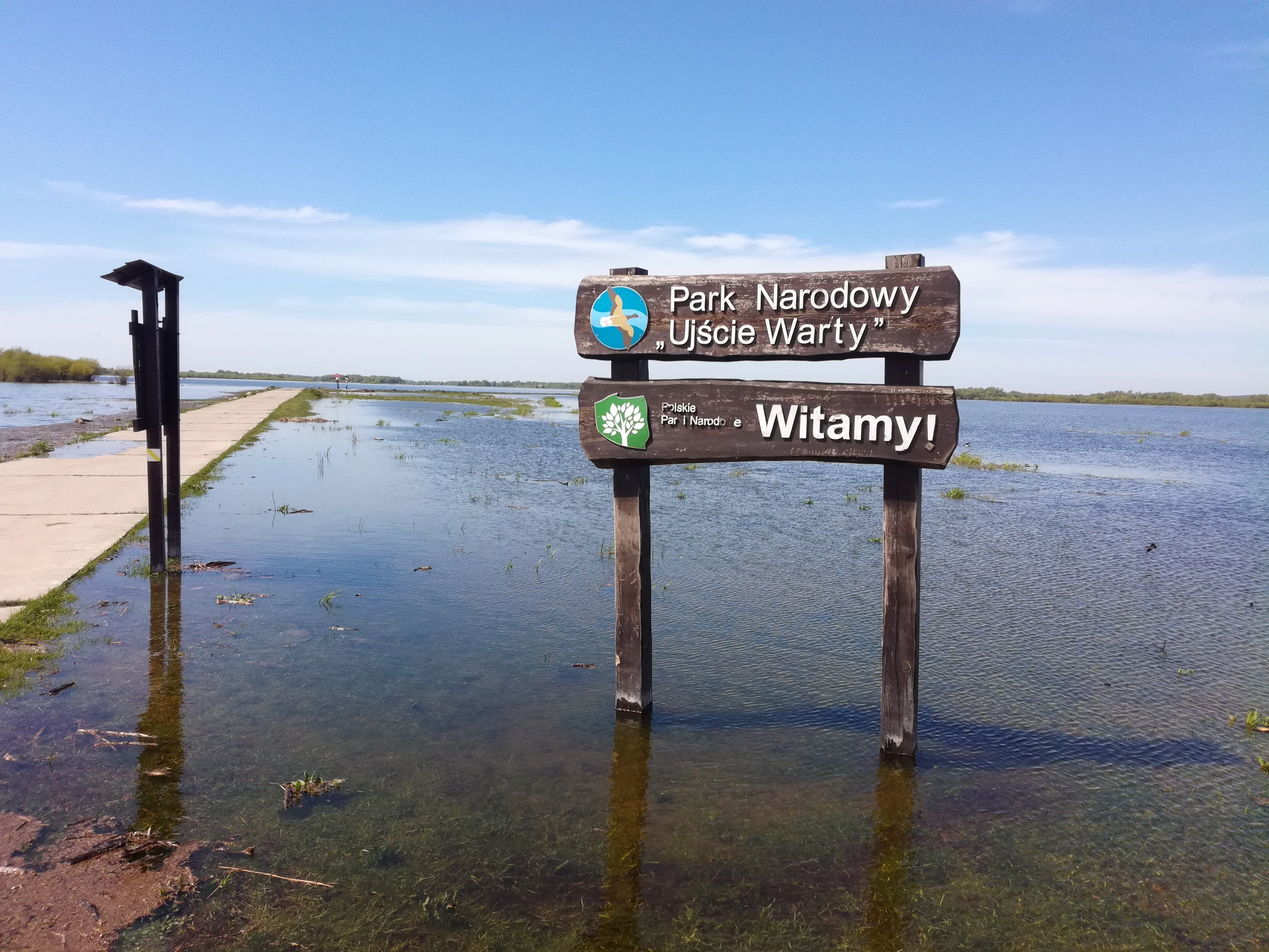 Wooden sign with text 'Park Narodowy Ujście Warty' and 'Witamy!' standing in shallow water near a boardwalk