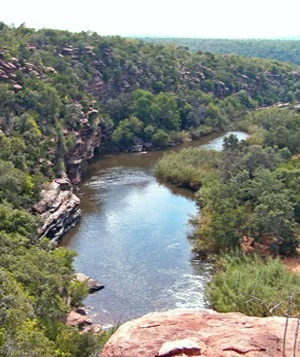 A high-angle view of a winding river flowing through a rocky, forested canyon with steep cliff walls and dense green vegetation.