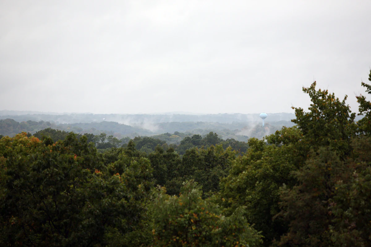 A wide, hazy landscape view looking over a sprawling green forest under an overcast sky.