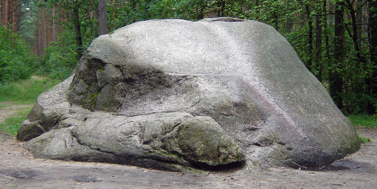 A large, smooth, gray glacial erratic boulder sitting on a sandy path within a pine forest.