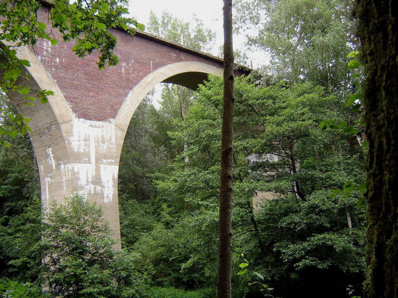 Side view of a tall, arched railway bridge constructed of red brick and concrete, partially obscured by dense green trees and vegetation in a forest.