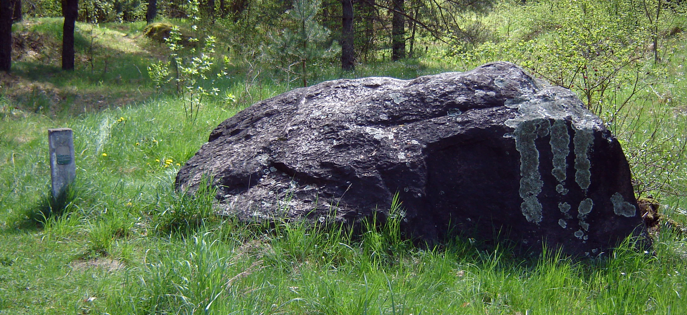 A large, dark grey glacial erratic boulder resting in a grassy clearing with scattered trees in the background.