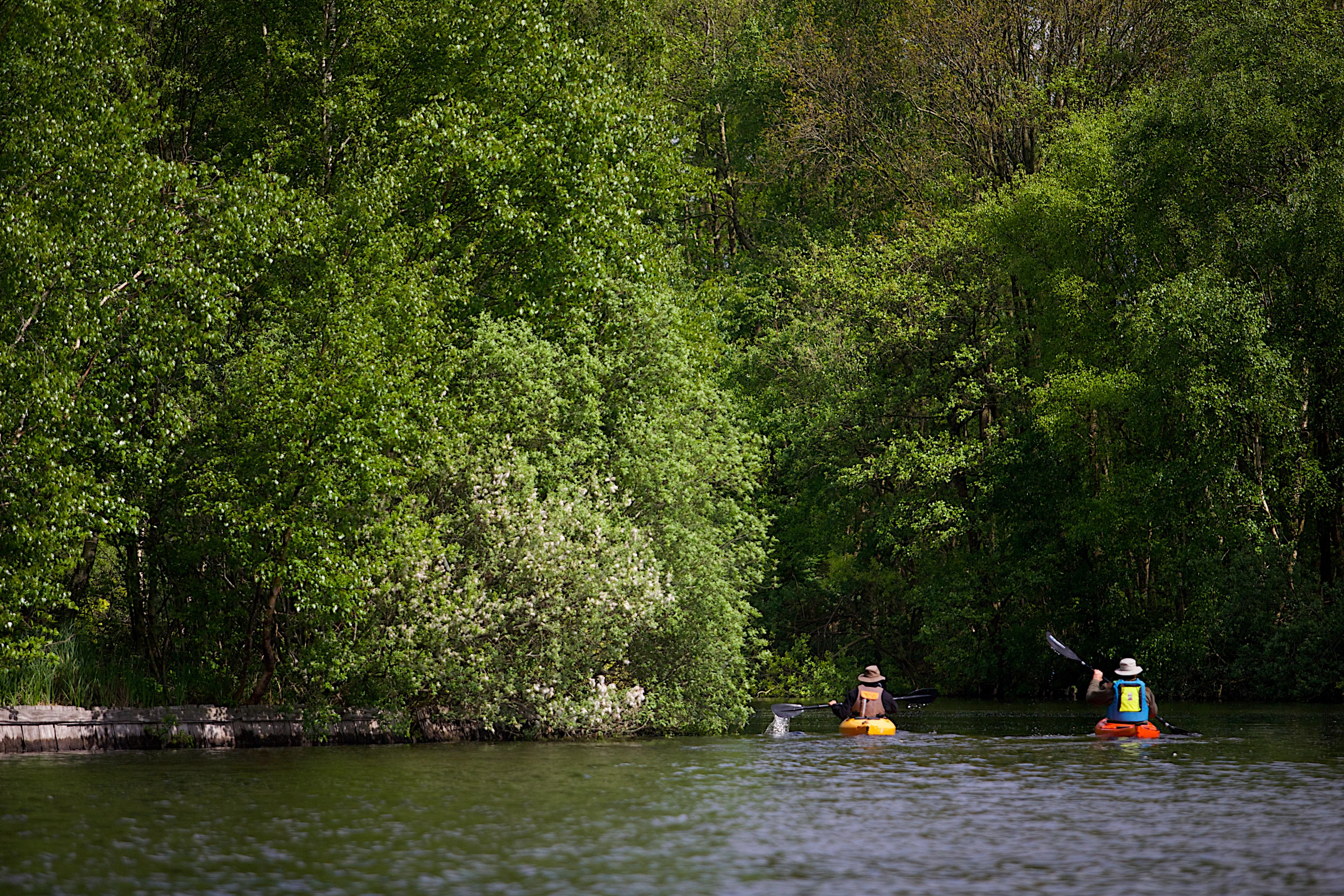 Two people paddling canoes on a calm waterway surrounded by dense green forest.