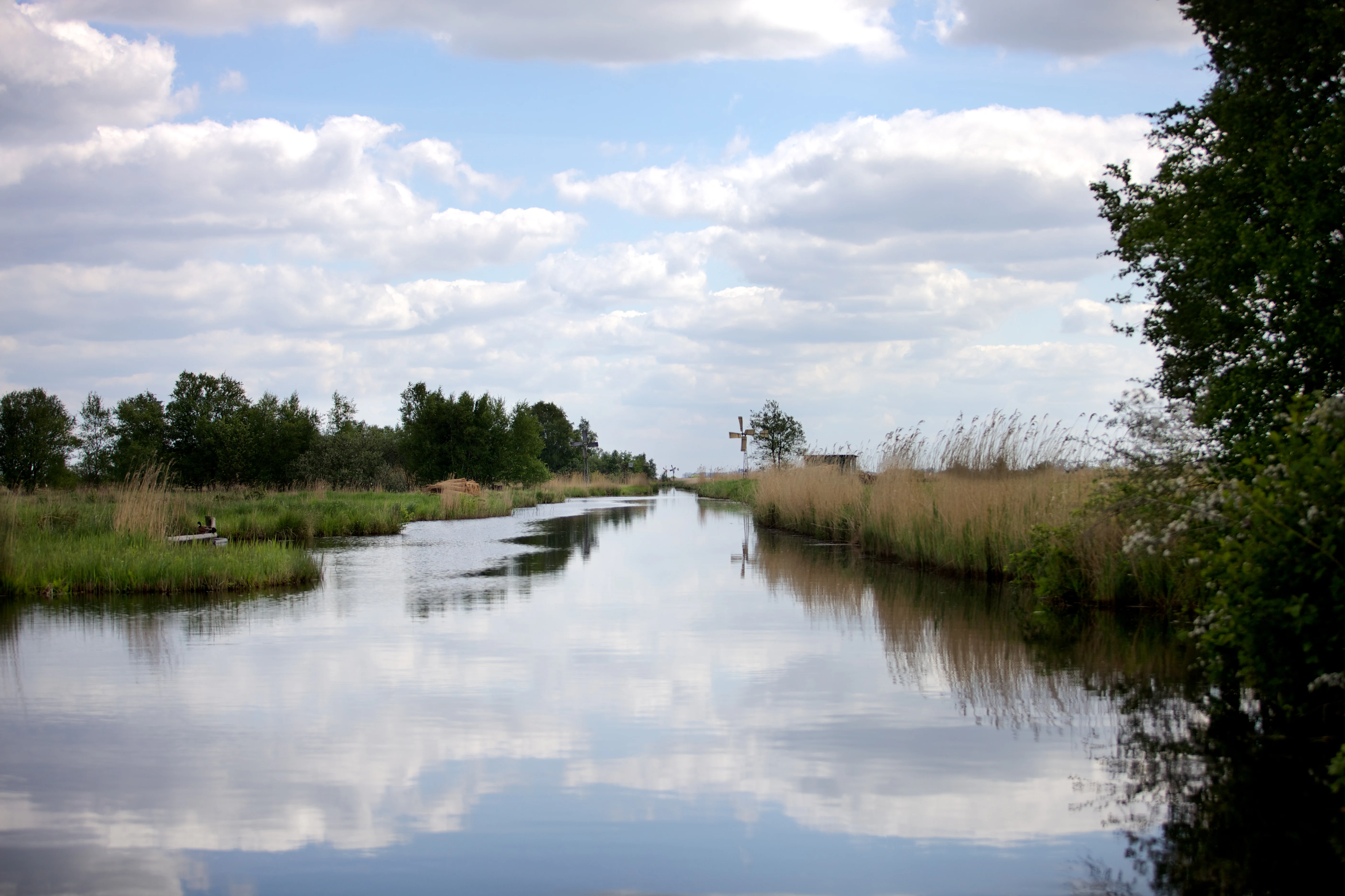 Calm waterway reflecting clouds with tall grasses and trees on both sides under a partly cloudy sky