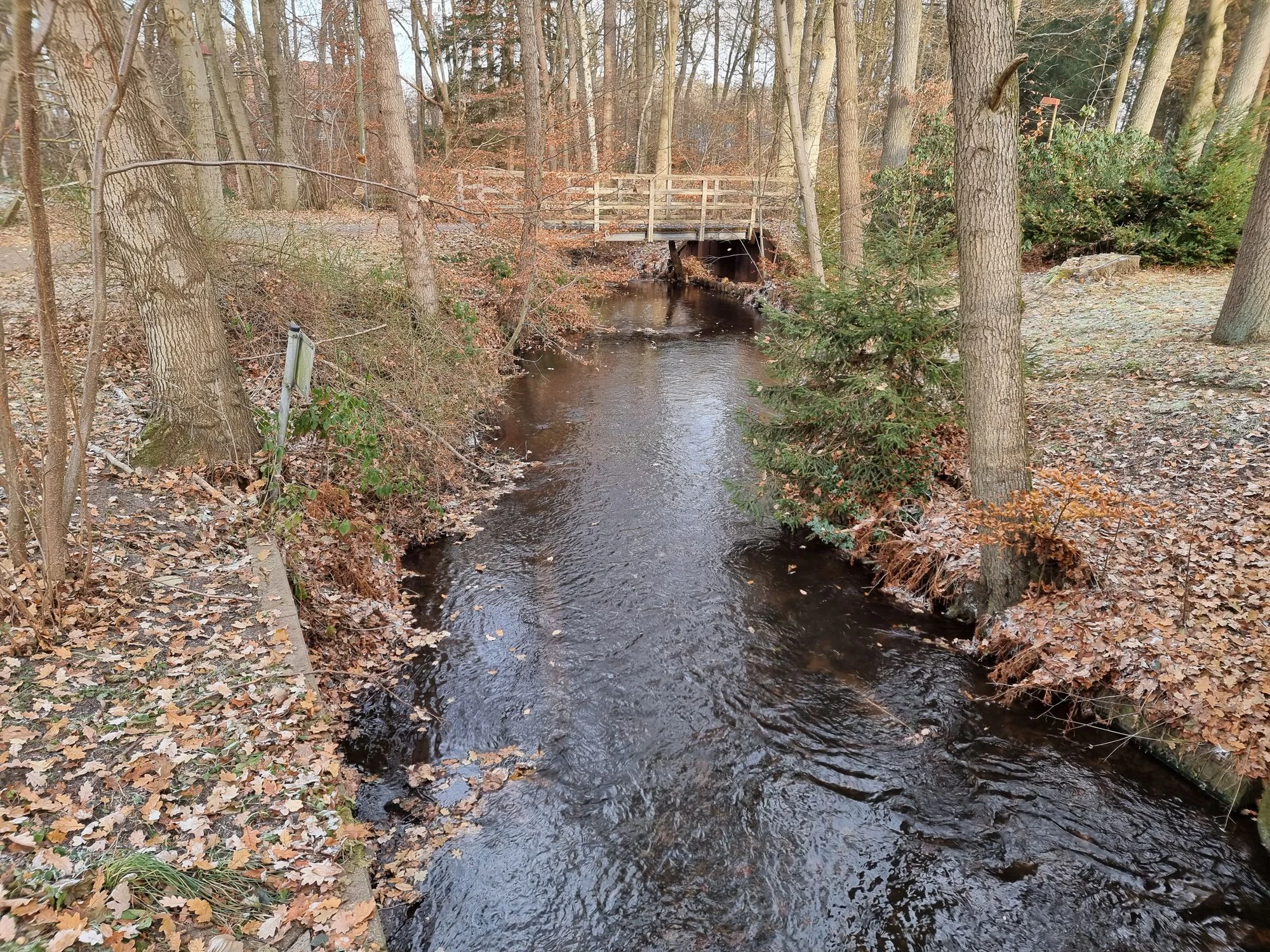 A small, dark stream flowing through a forest with fallen autumn leaves covering the ground, spanned by a simple wooden footbridge in the background.