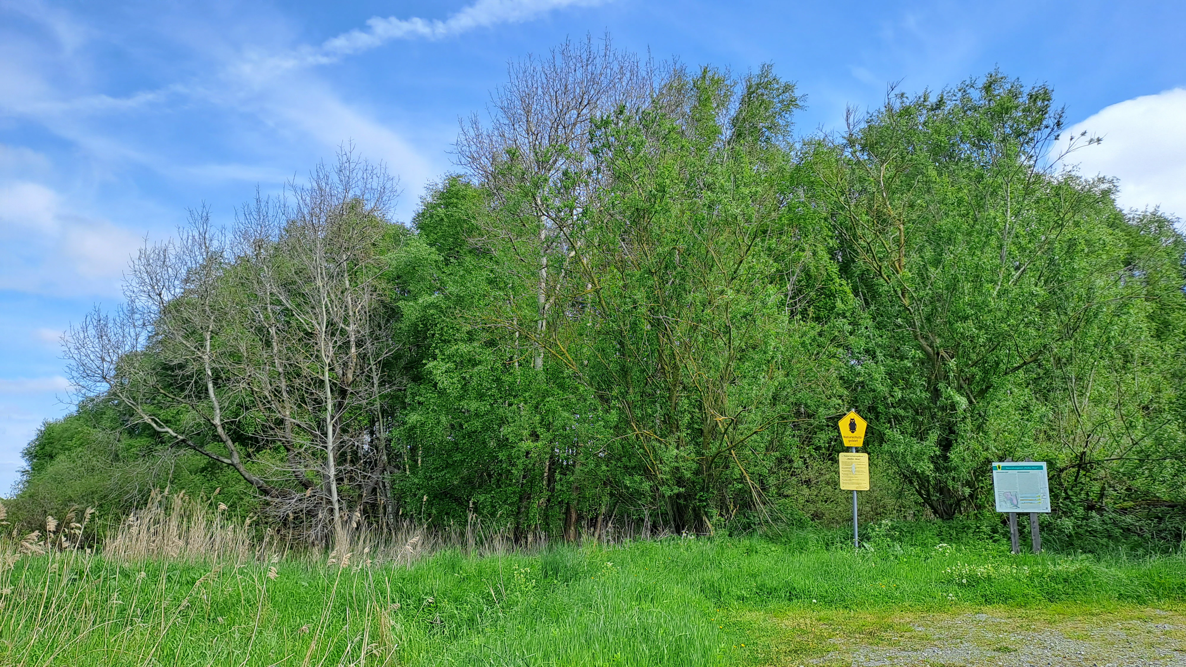 A green nature reserve sign and a yellow triangular warning or informational sign stand at the edge of a dense forest and grassy field.