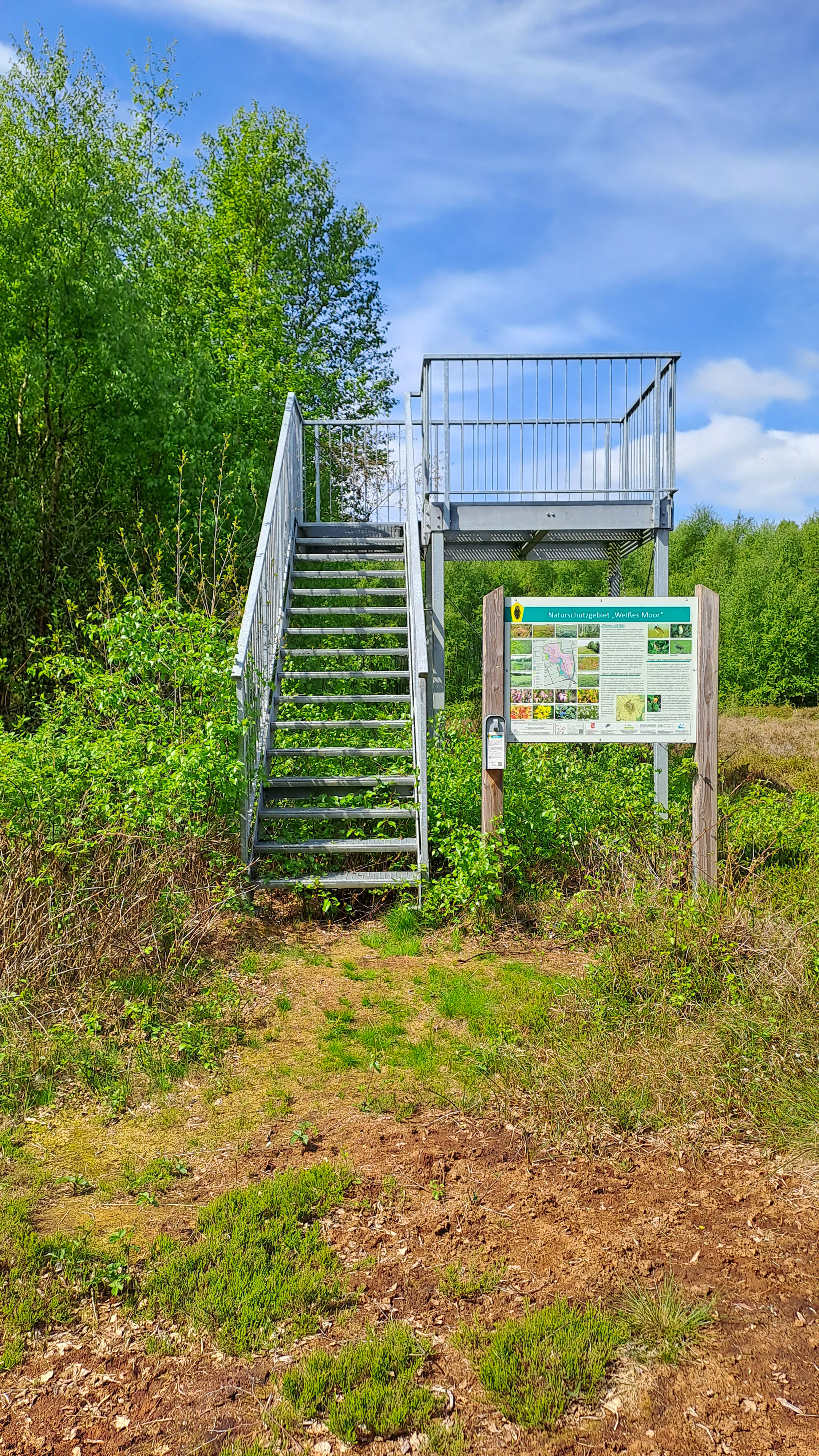 A metal observation platform with a staircase next to an educational sign in a grassy area with trees.