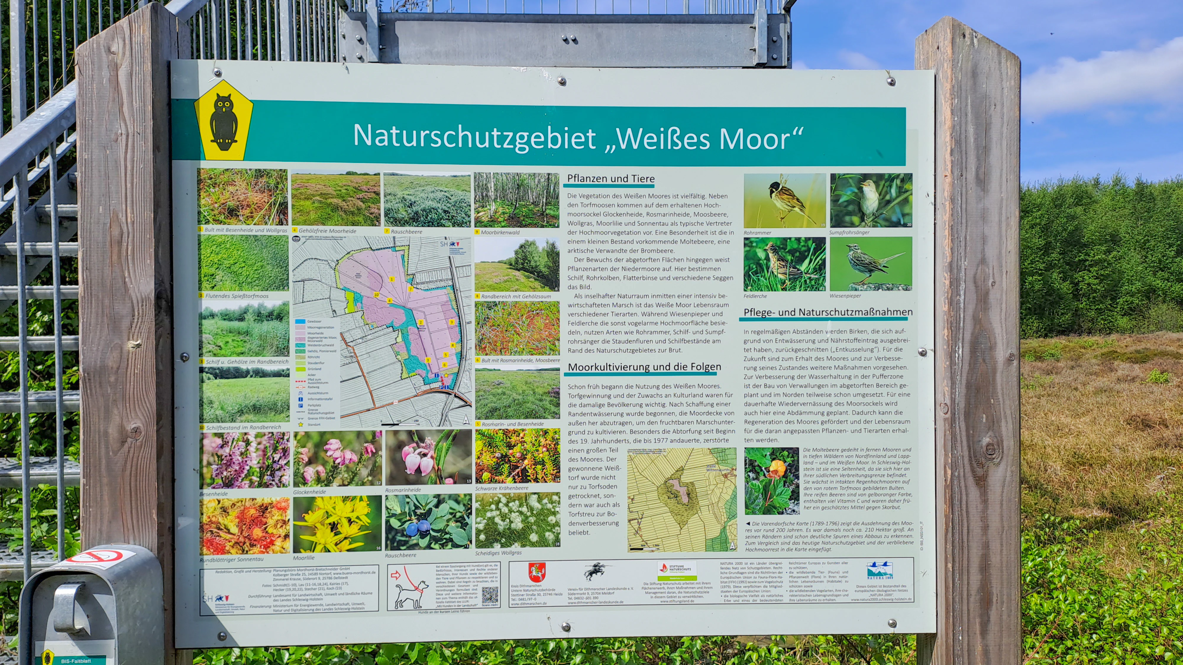 A large rectangular information sign titled Naturschutzgebiet Weißes Moor mounted on wooden posts, featuring a map, botanical and wildlife images, and explanatory text.
