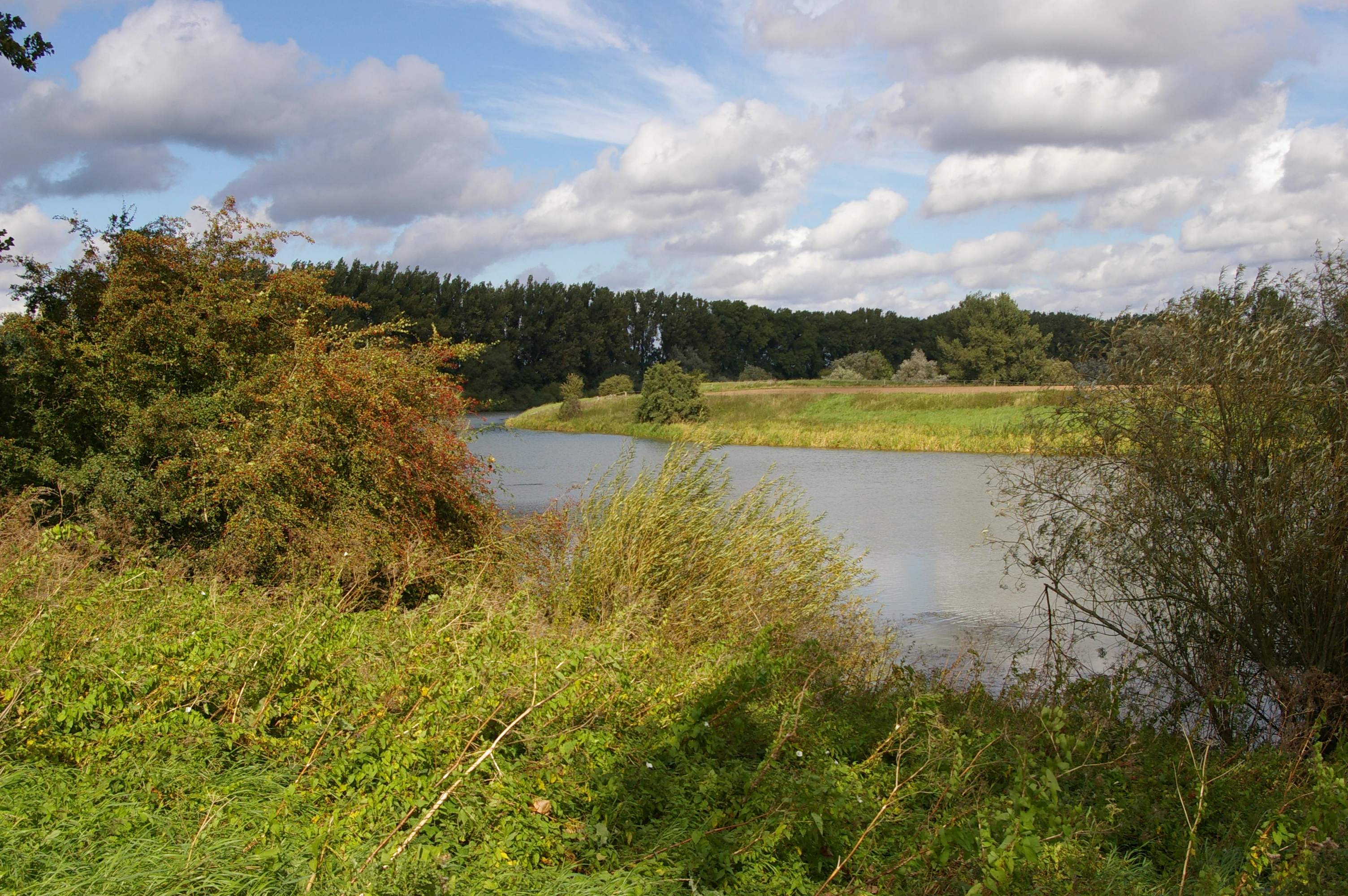 A peaceful oxbow lake surrounded by lush green riparian vegetation under a cloudy sky.