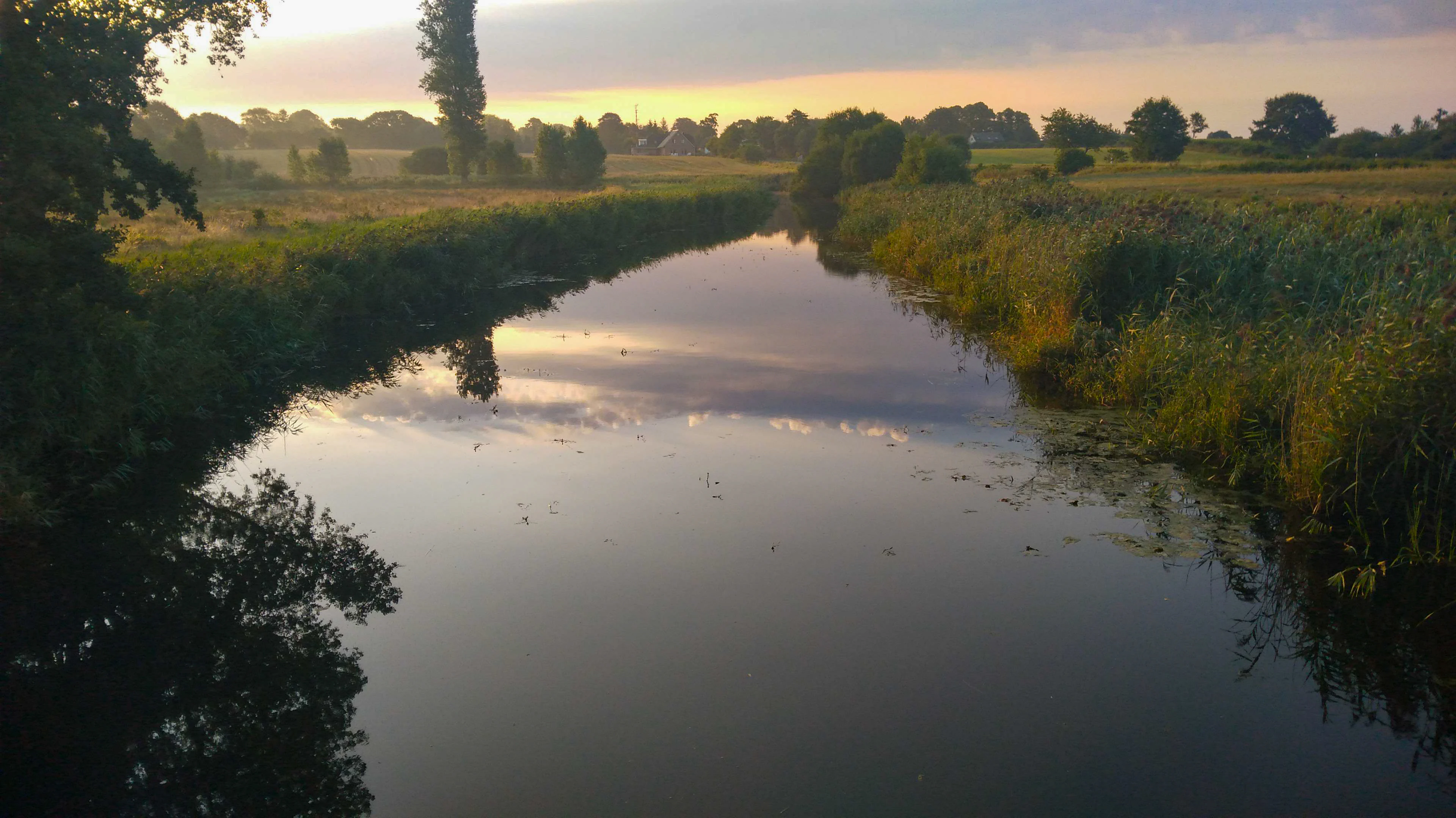 A calm, reflective stream winds through lush green marshland and reeds at golden hour, with silhouetted trees in the distance.