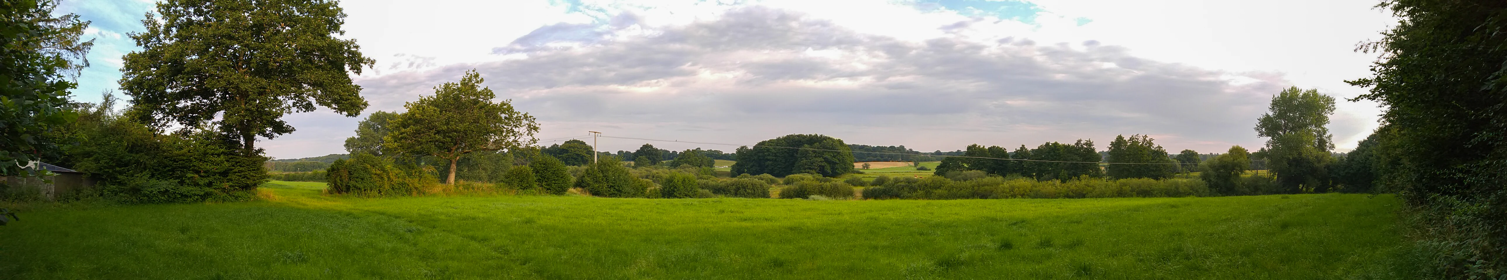 A wide panoramic landscape view of a green meadow in the foreground, with clusters of trees and a dense forest line in the background under a cloudy sky.