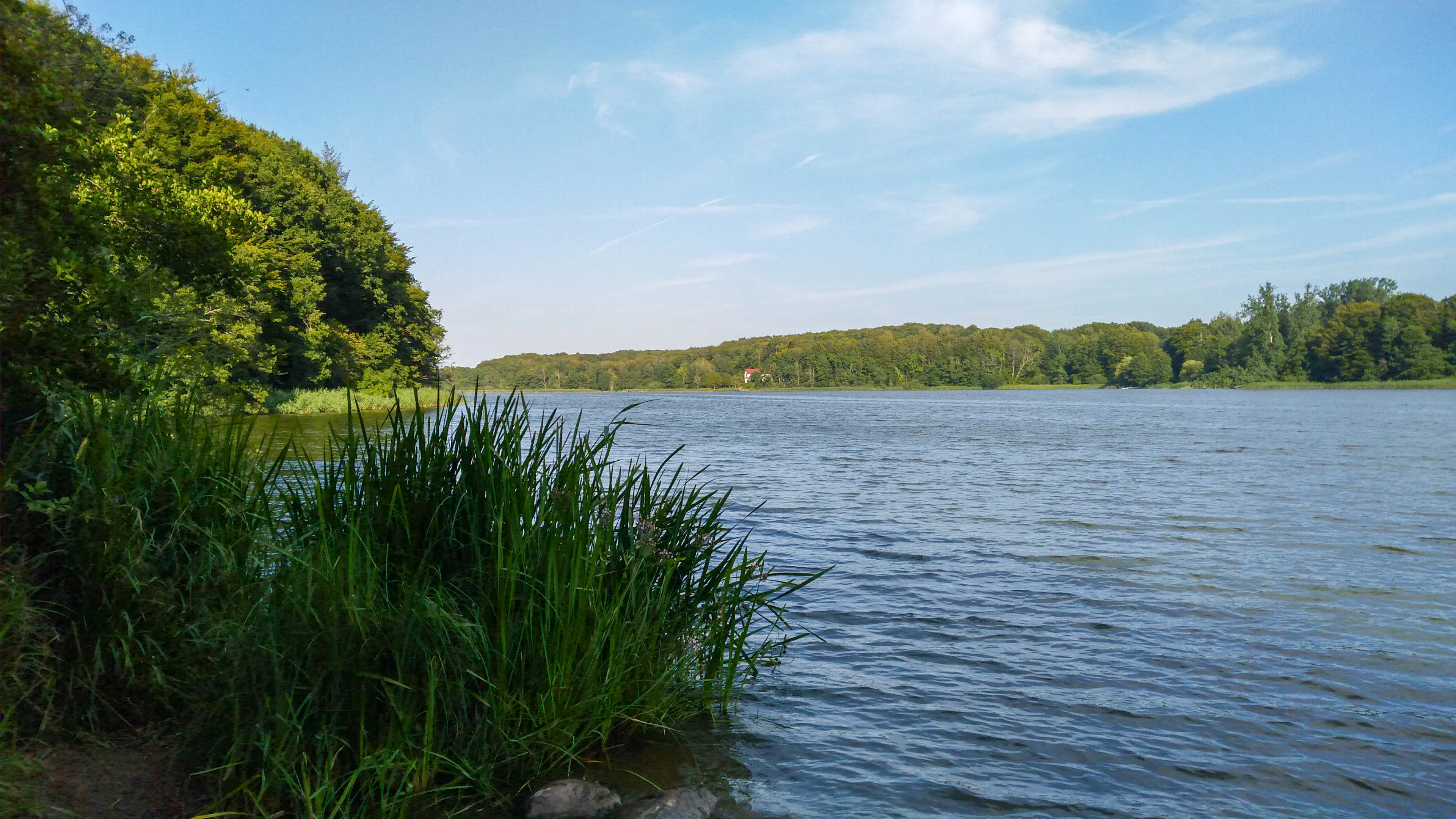 A wide, calm river flowing between lush green forested banks under a clear blue sky with light clouds.