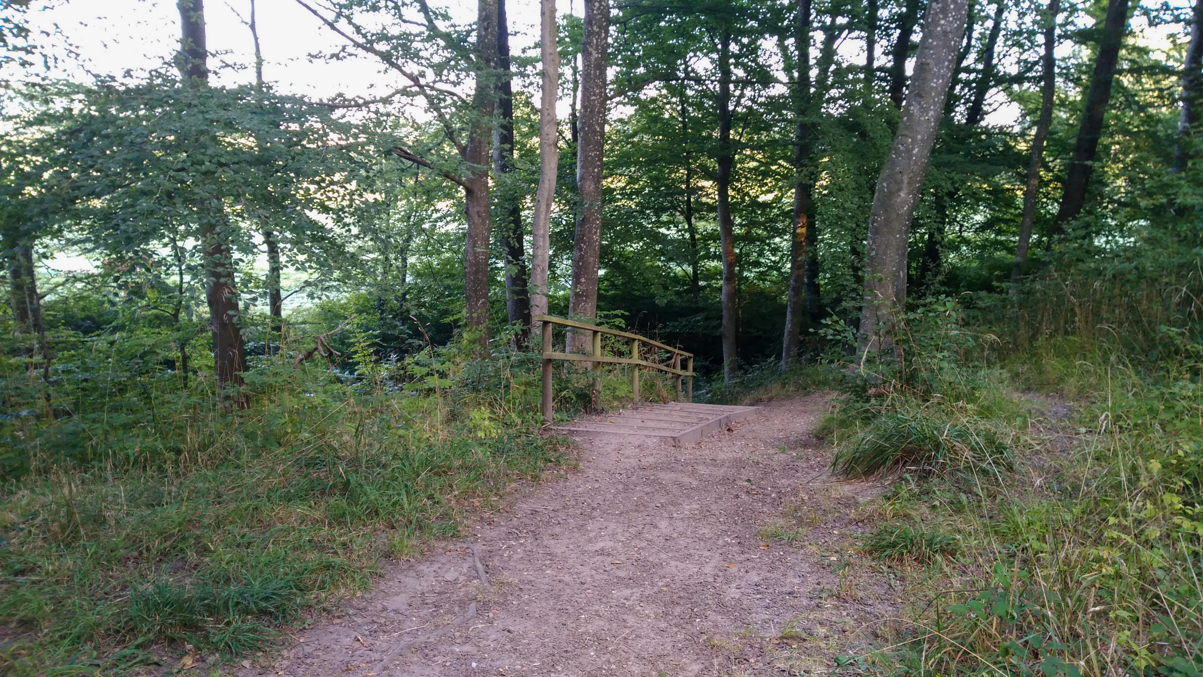 A dirt hiking trail leads to a small wooden bridge railing under a canopy of dense deciduous trees.