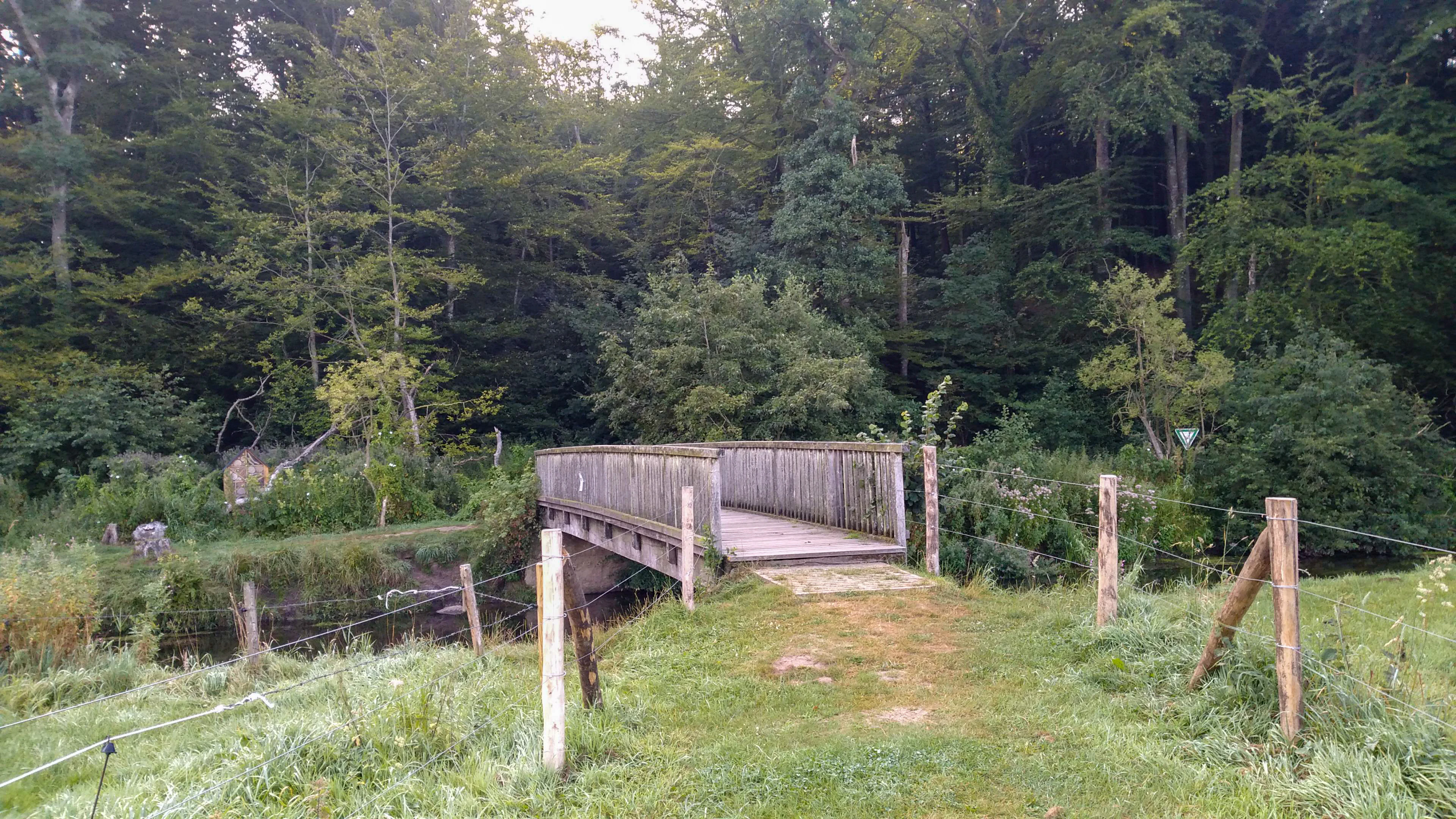 A wooden bridge crossing a narrow stream, flanked by lush green forest and grassy embankments.