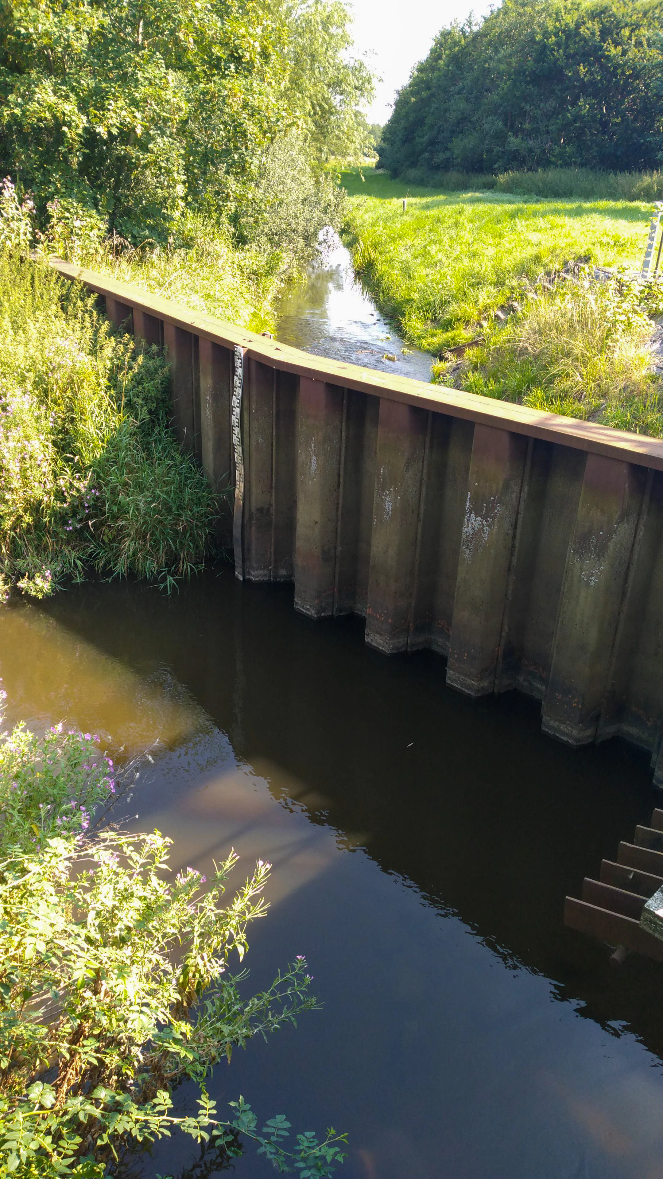 A small stream flowing past a tall, rusted steel sheet piling wall, with lush green trees and grasses in the background.