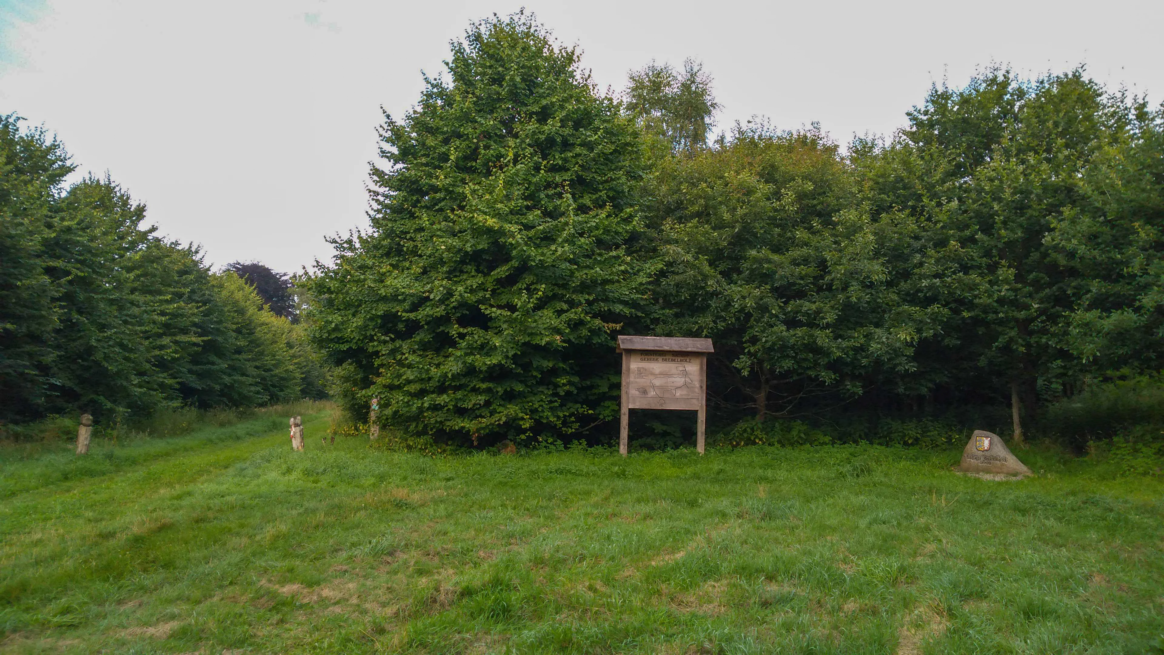 A wooden information sign stands on a grassy clearing at the edge of a dense deciduous forest, with a small trail marker visible on a stone in the foreground.