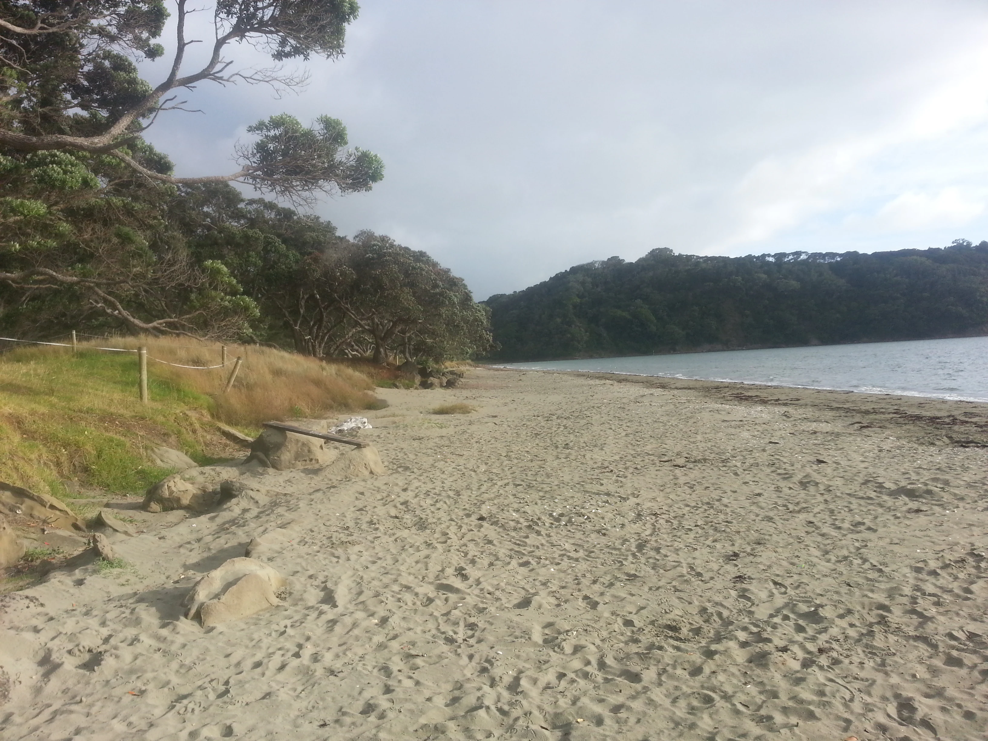 A sandy beach shoreline at Wenderholm Regional Park with native trees along the edge, looking toward a forested hill across the water.