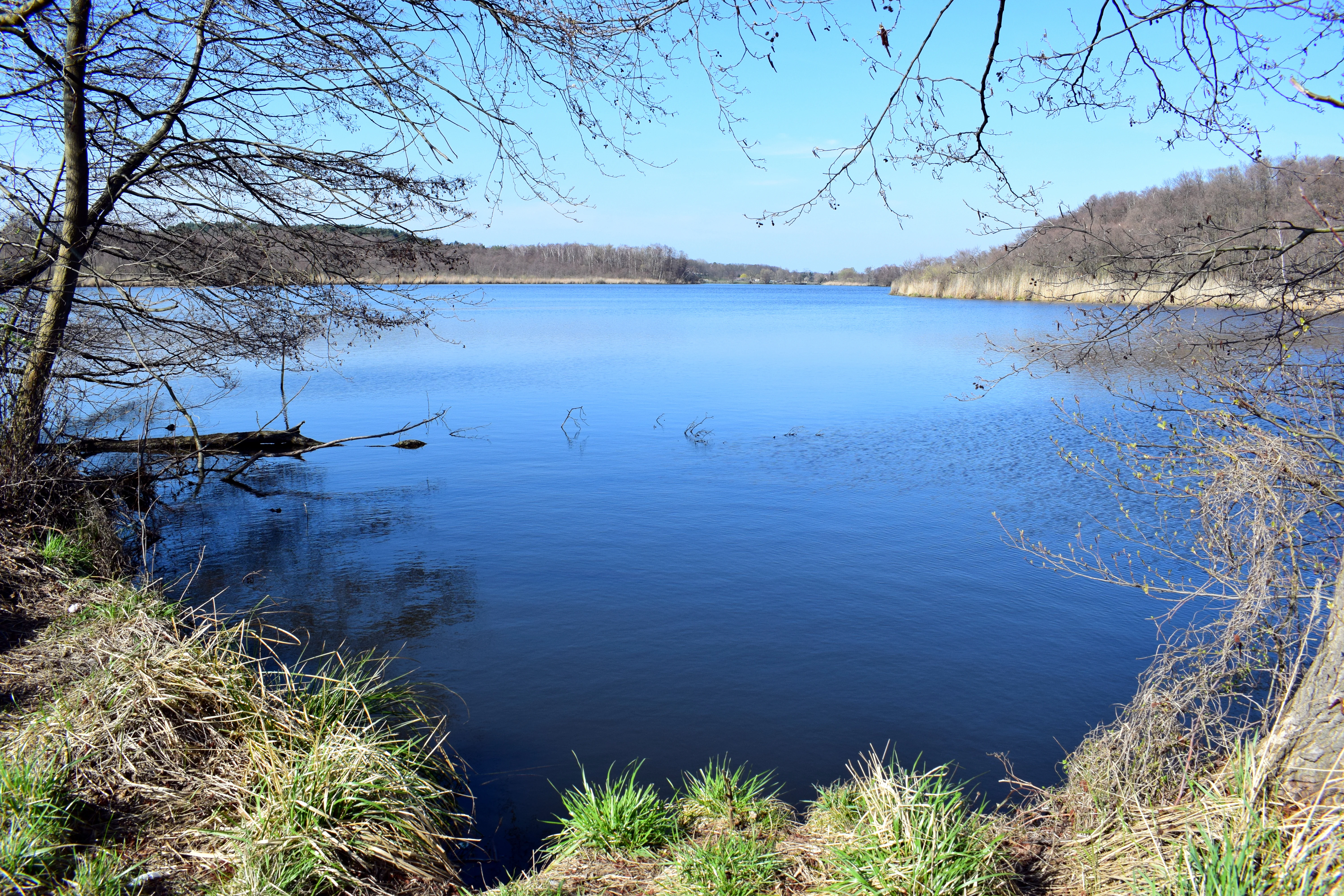 Una vista panorámica de un lago azul rodeado por orillas cubiertas de hierba y árboles sin hojas bajo un cielo azul brillante.