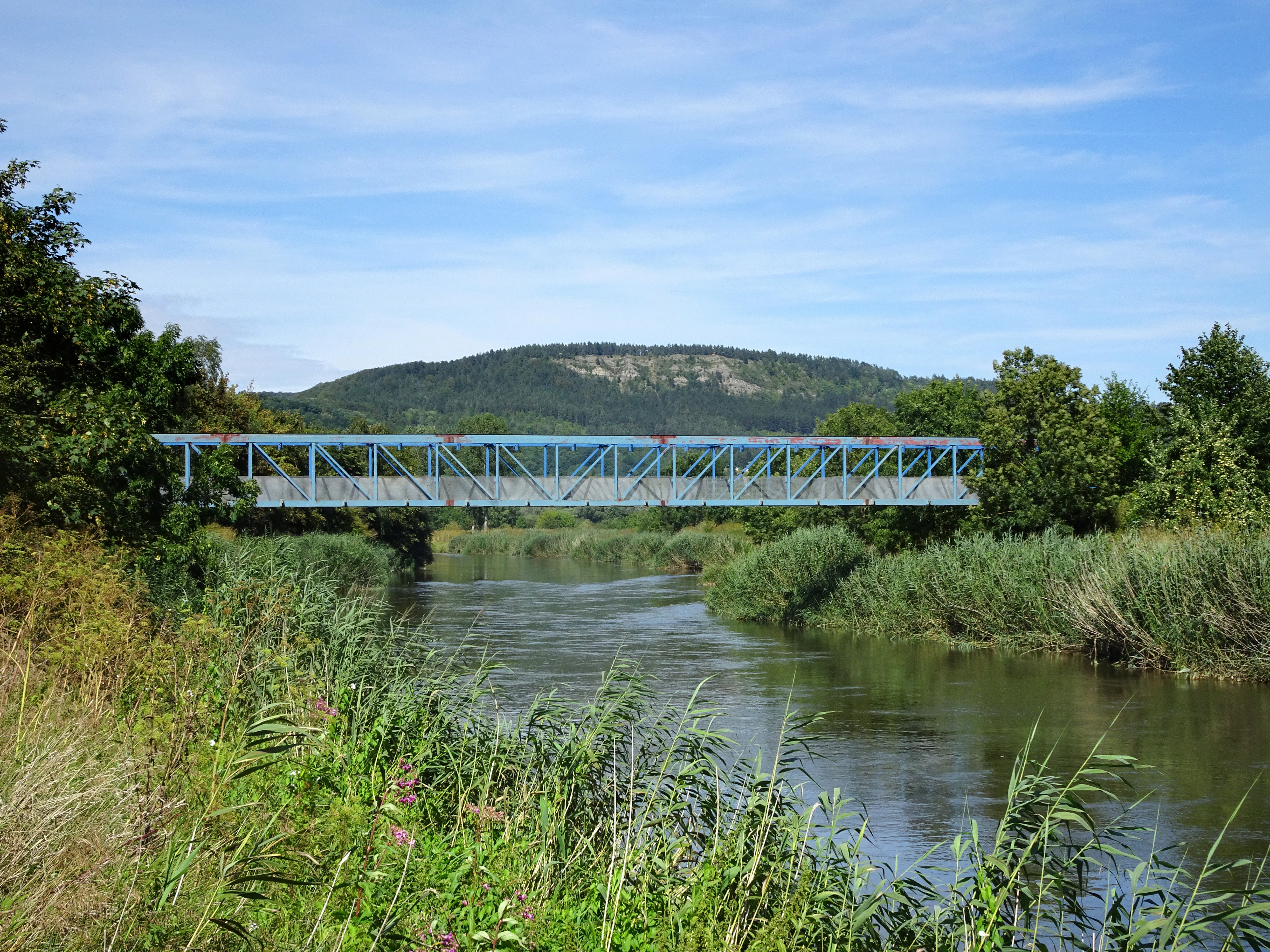 A blue steel truss bridge crosses over the Werra River, surrounded by lush green riparian vegetation with a forested hill in the background under a blue sky.