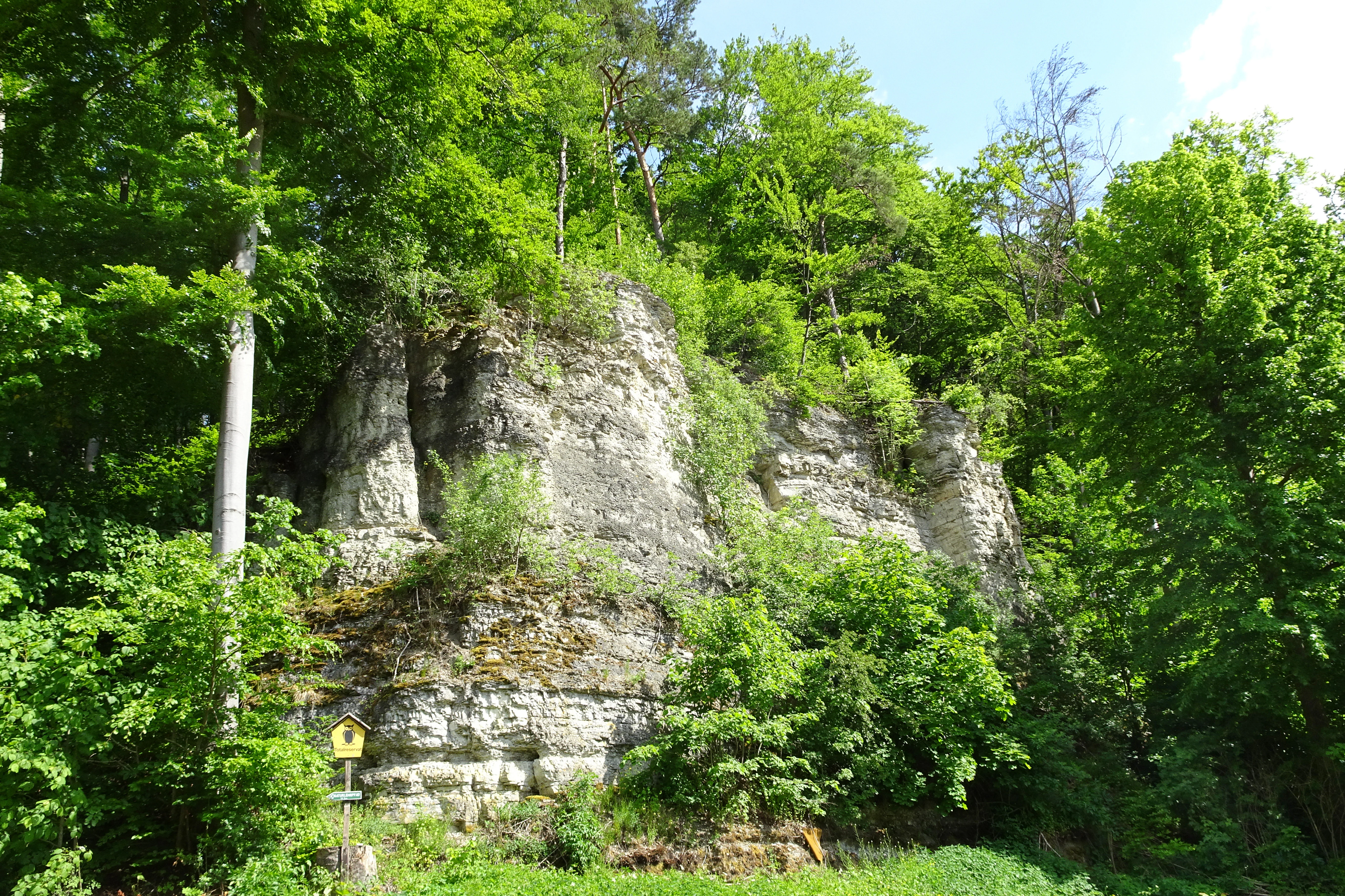 A steep, weathered limestone rock cliff face partially obscured by dense green forest foliage, with a small yellow trail sign visible near the base.