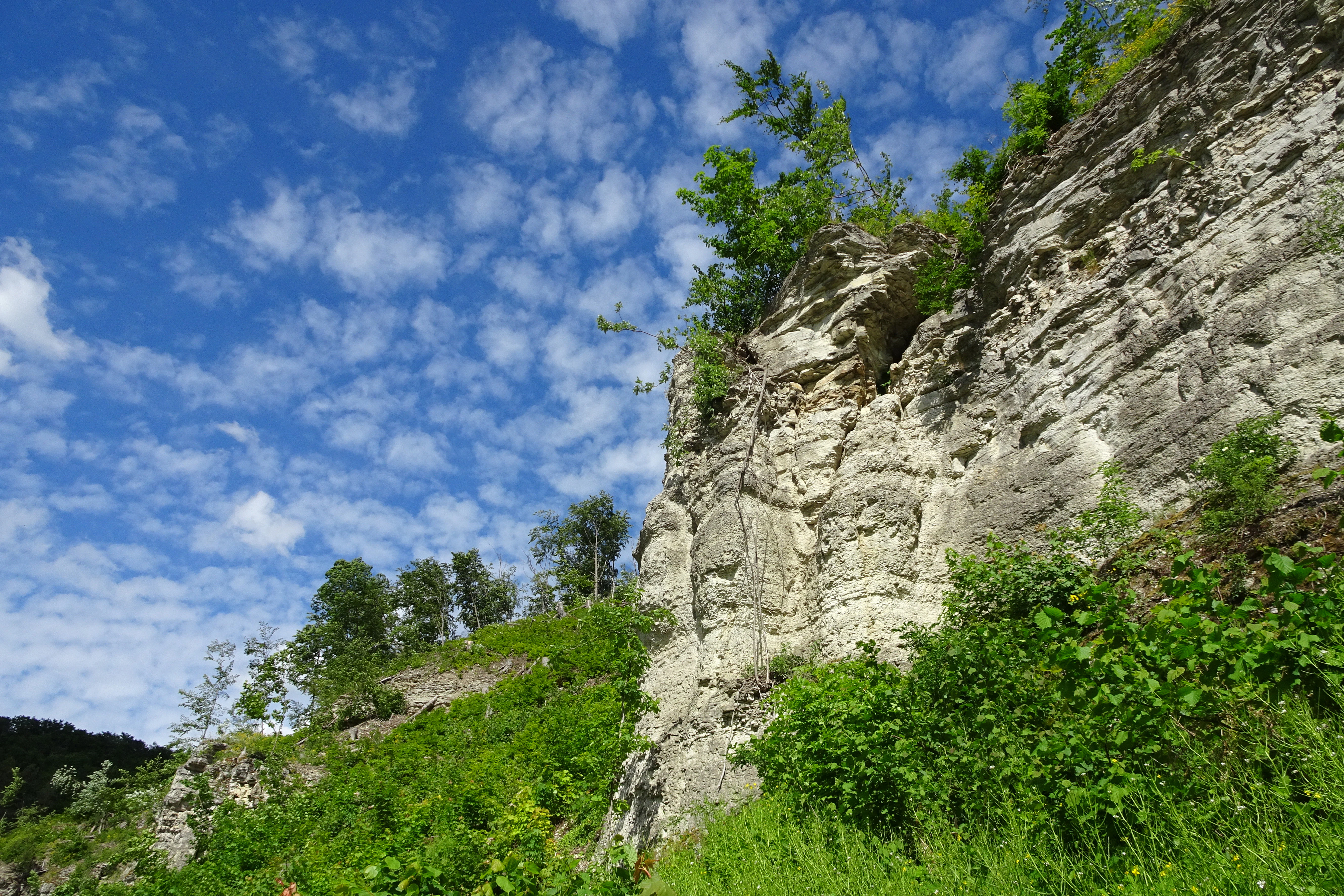 A steep, light-colored limestone cliff face rises from a lush green slope under a bright blue sky filled with scattered white clouds.
