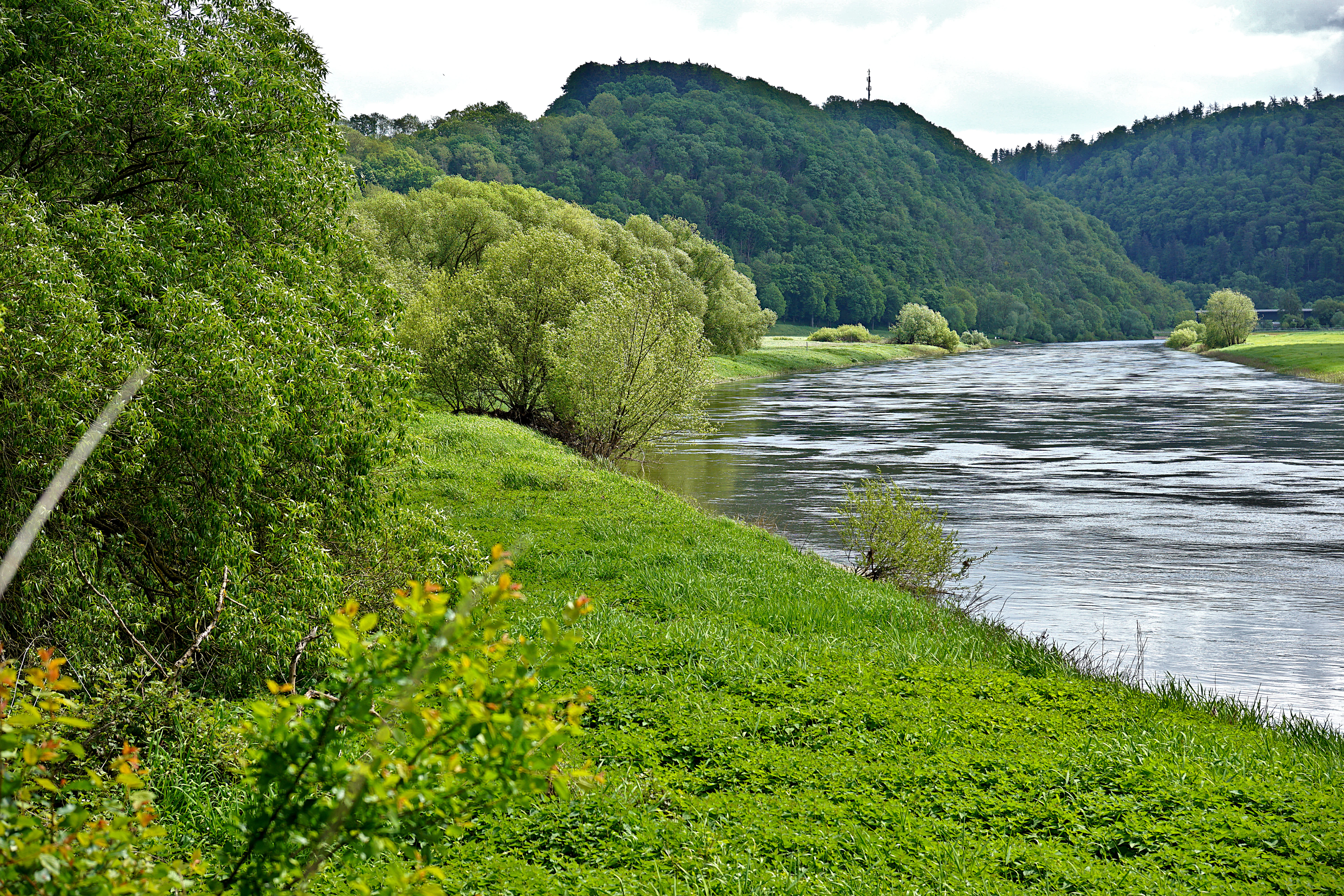 A wide view of the Weser river flowing past green riverbanks and a forested hill in the background.