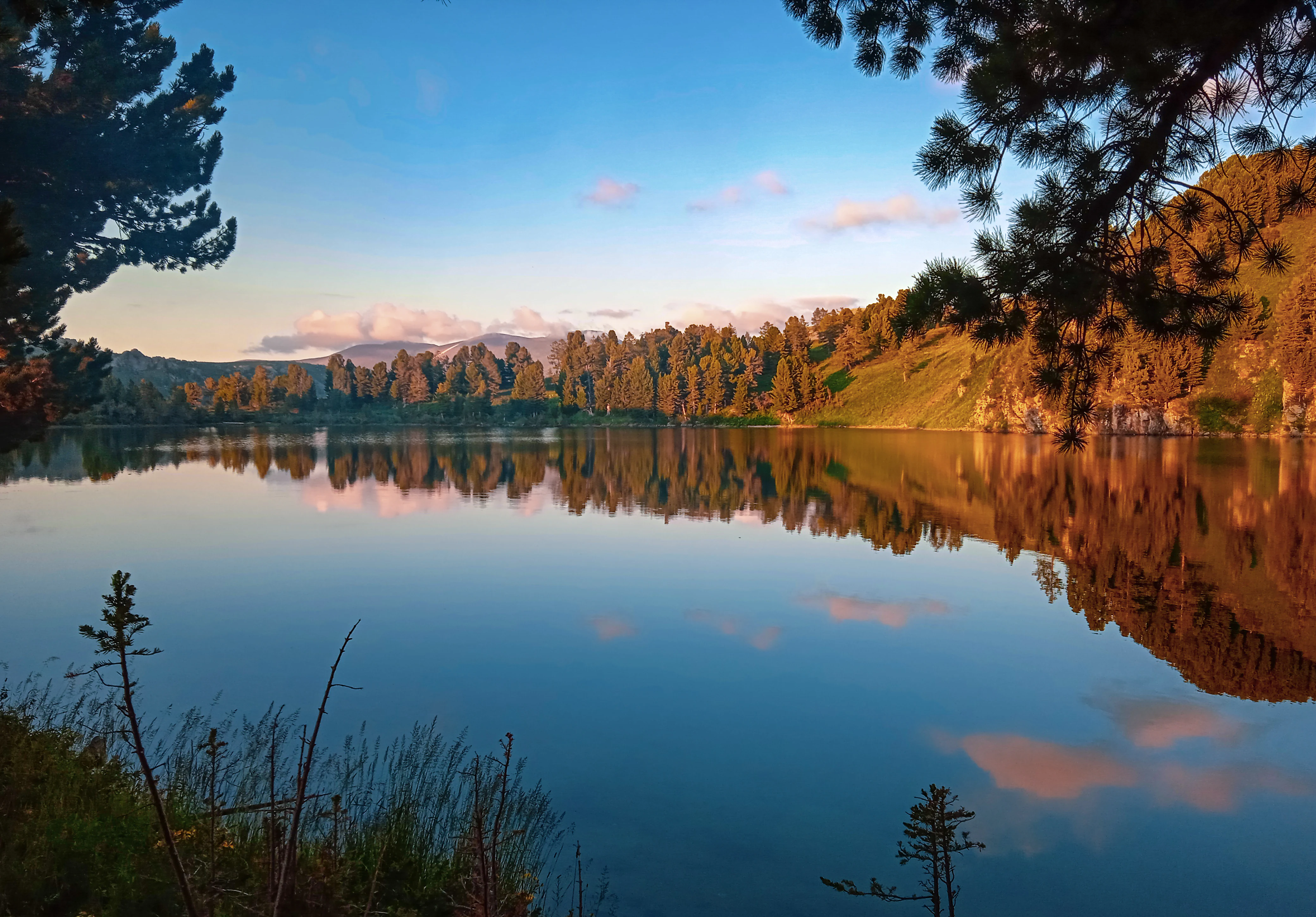 A calm lake reflecting a blue sky with pink clouds and a forested hillside, framed by pine trees in the foreground.