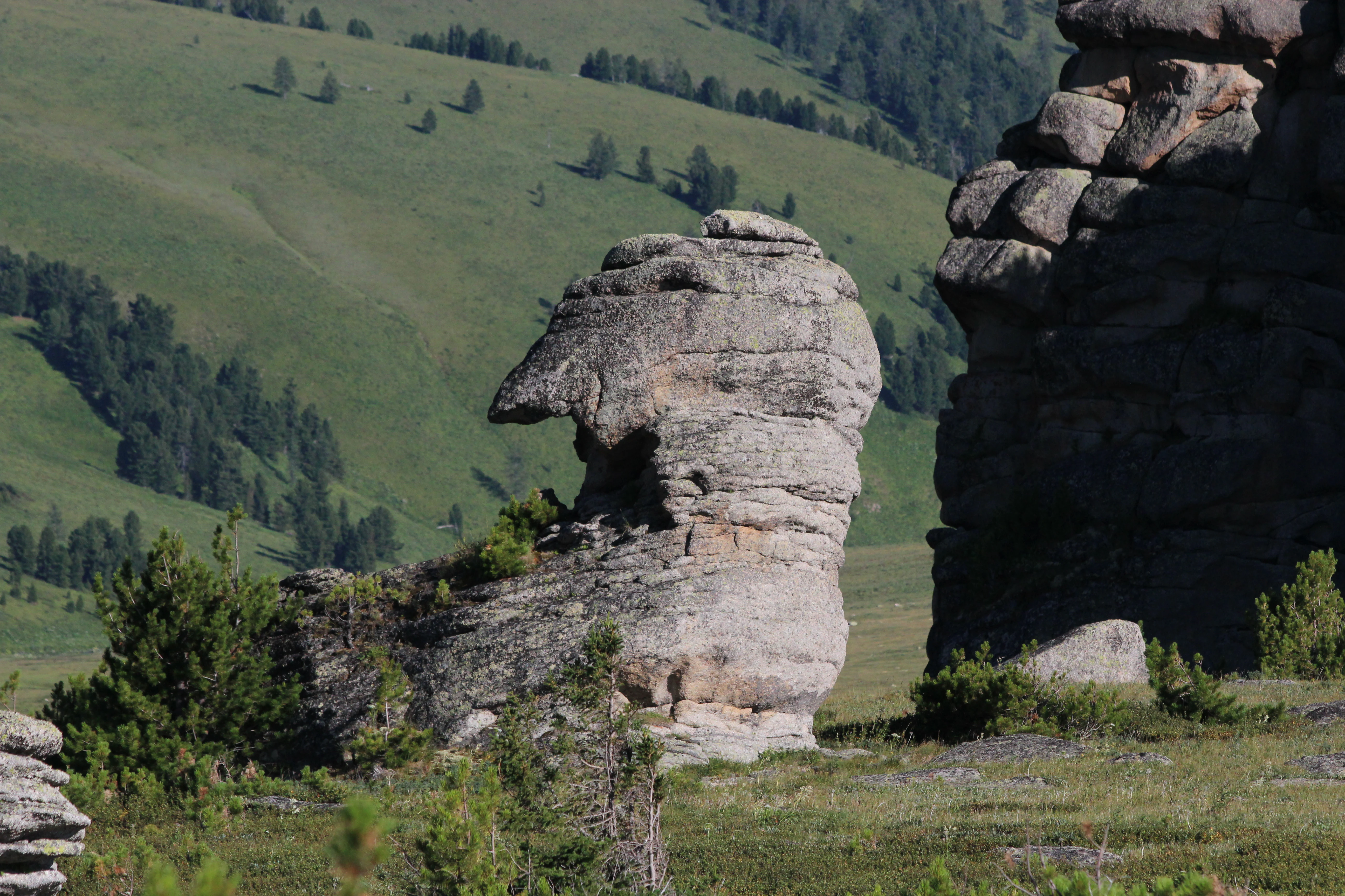 A weathered granite rock formation shaped like a shoe or boot stands in a grassy meadow with scattered coniferous trees, with rolling green hills and another large rock formation visible to the right.