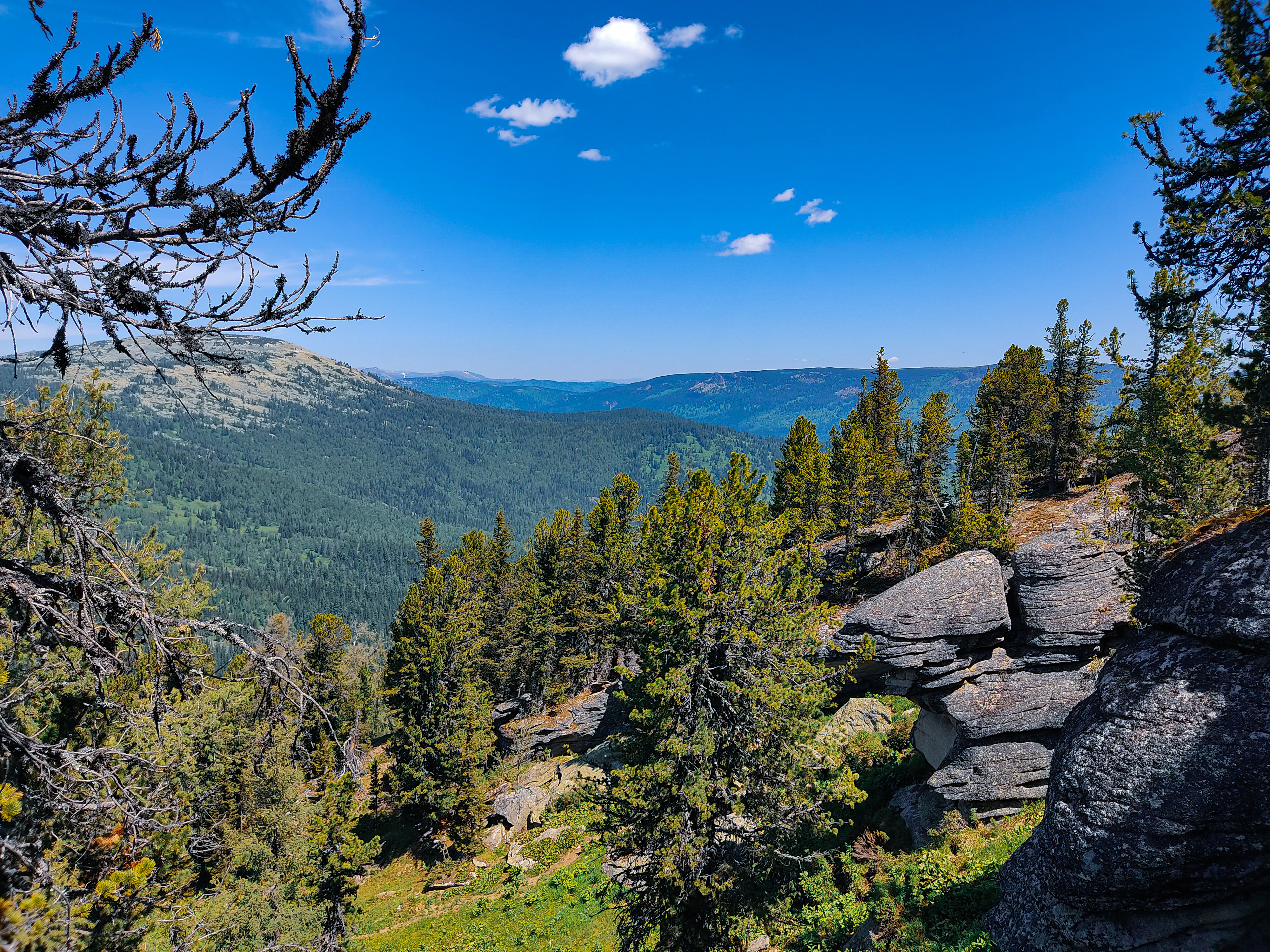 A scenic view from a rocky ridge featuring layered grey rocks in the foreground, dense green coniferous forests covering rolling mountains in the midground, and a bright blue sky with scattered clouds.